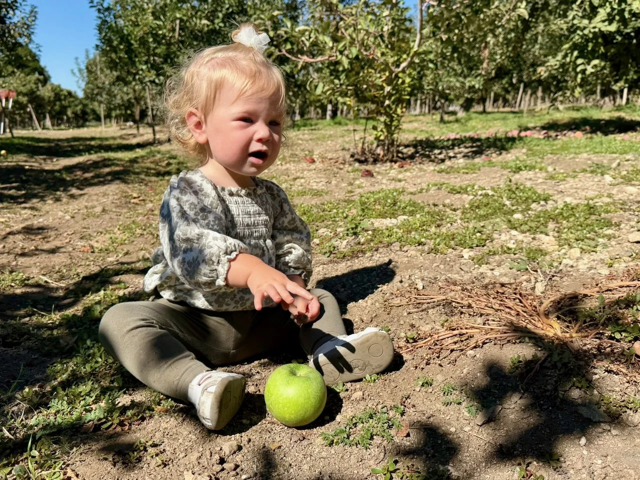 wojoct25_08 - 12.jpeg