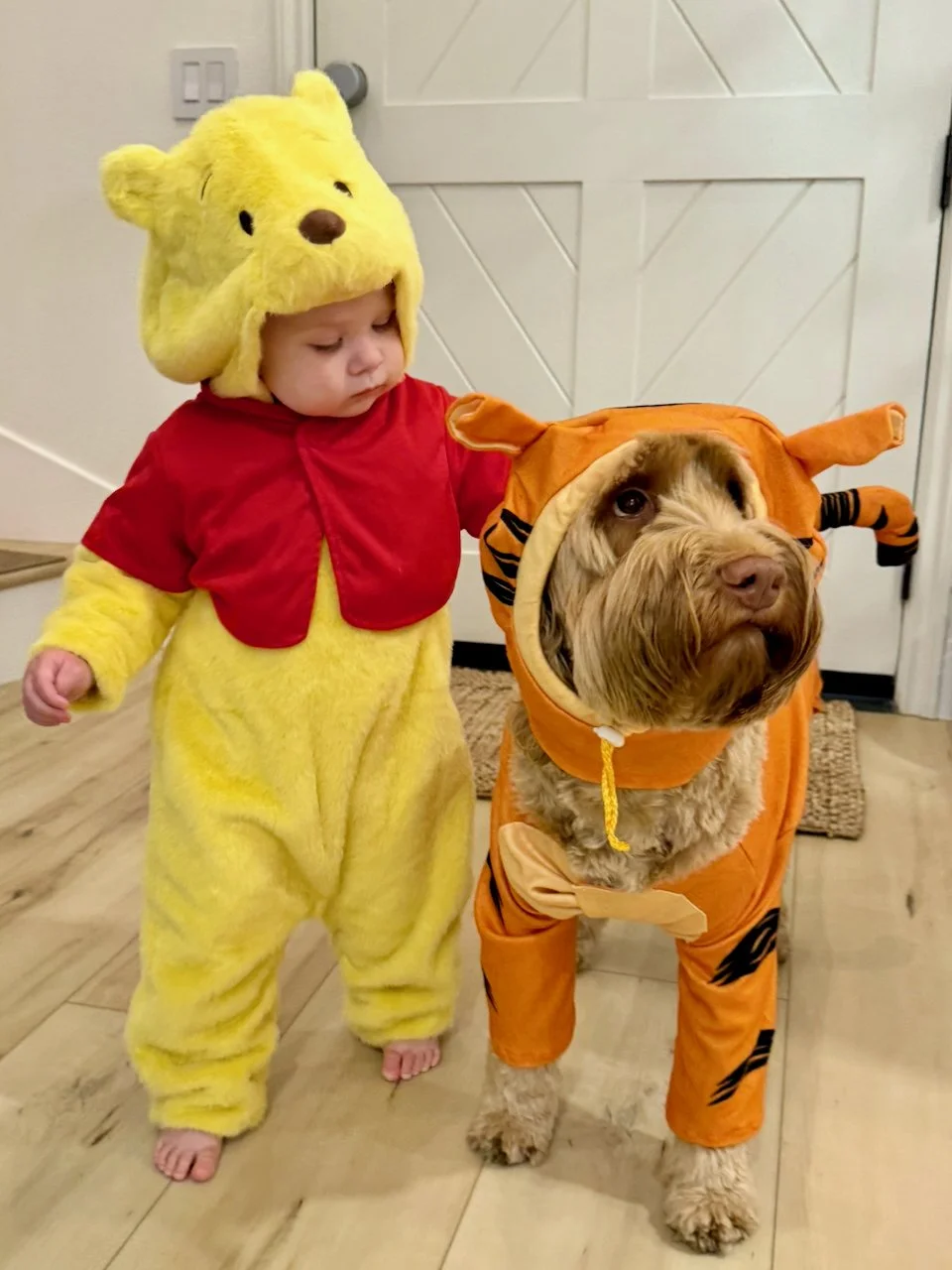 wojoct25_12 - 3.jpeg