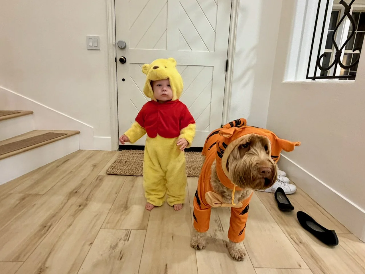 wojoct25_12 - 4.jpeg