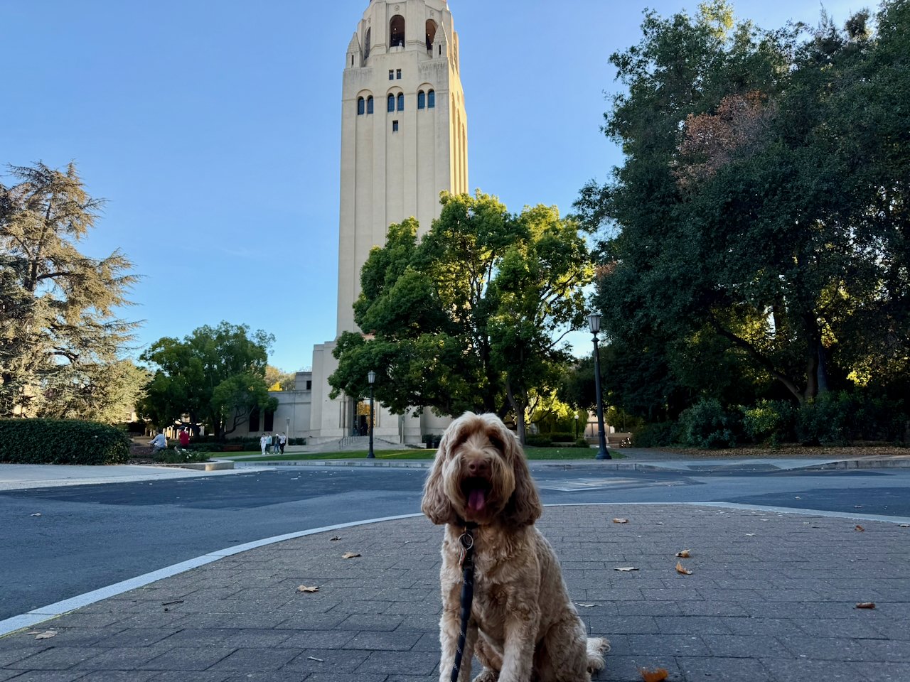 wojnov25_05 - 10.jpeg