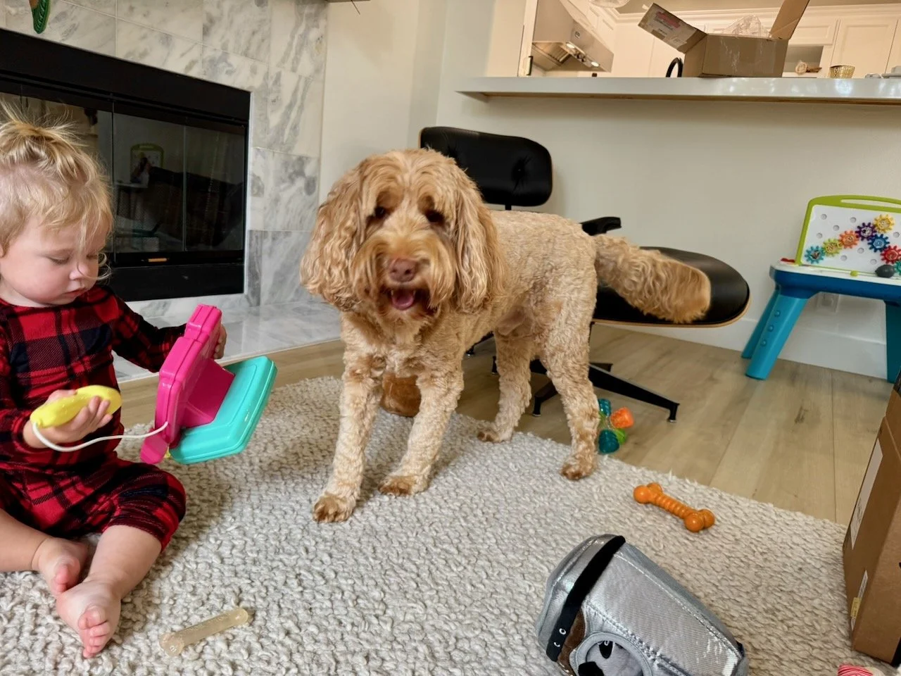 wojdec25_06 - 5.jpeg