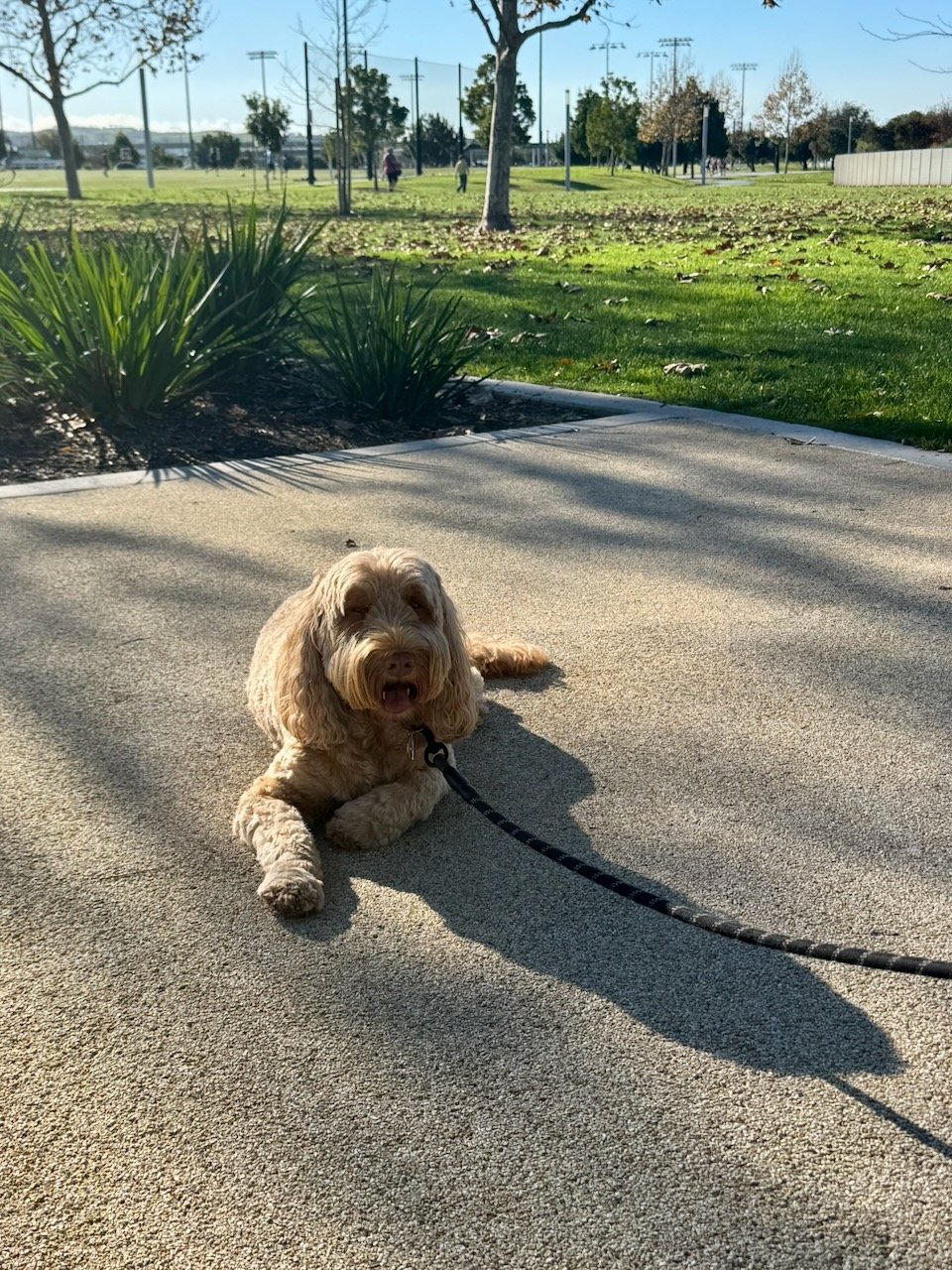 wojdec25_09 - 1.jpeg