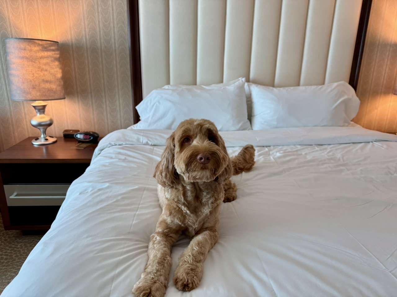 wojyearinreview25_07 - 13.jpeg