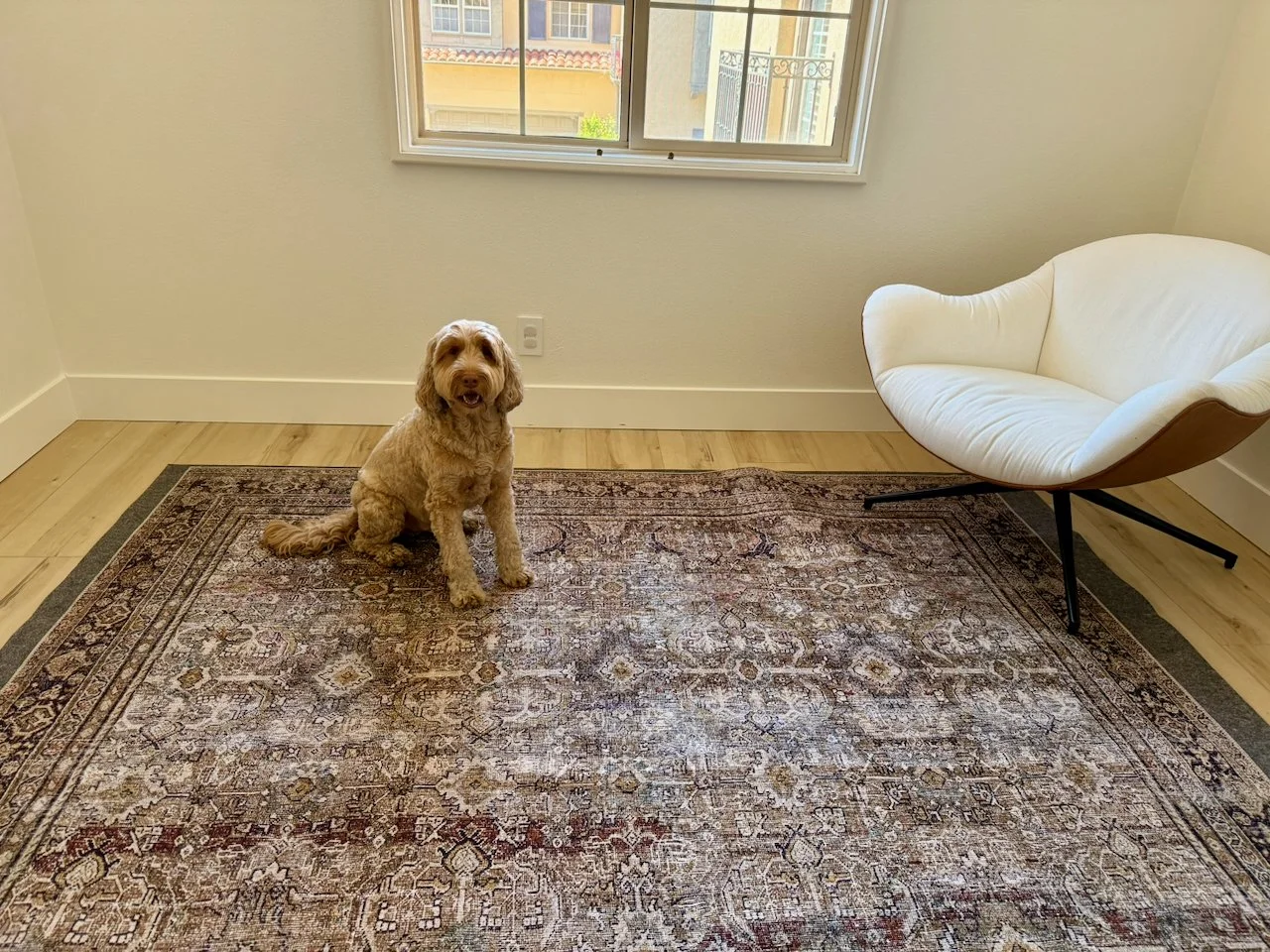 wojyearinreview25_08 - 6.jpeg