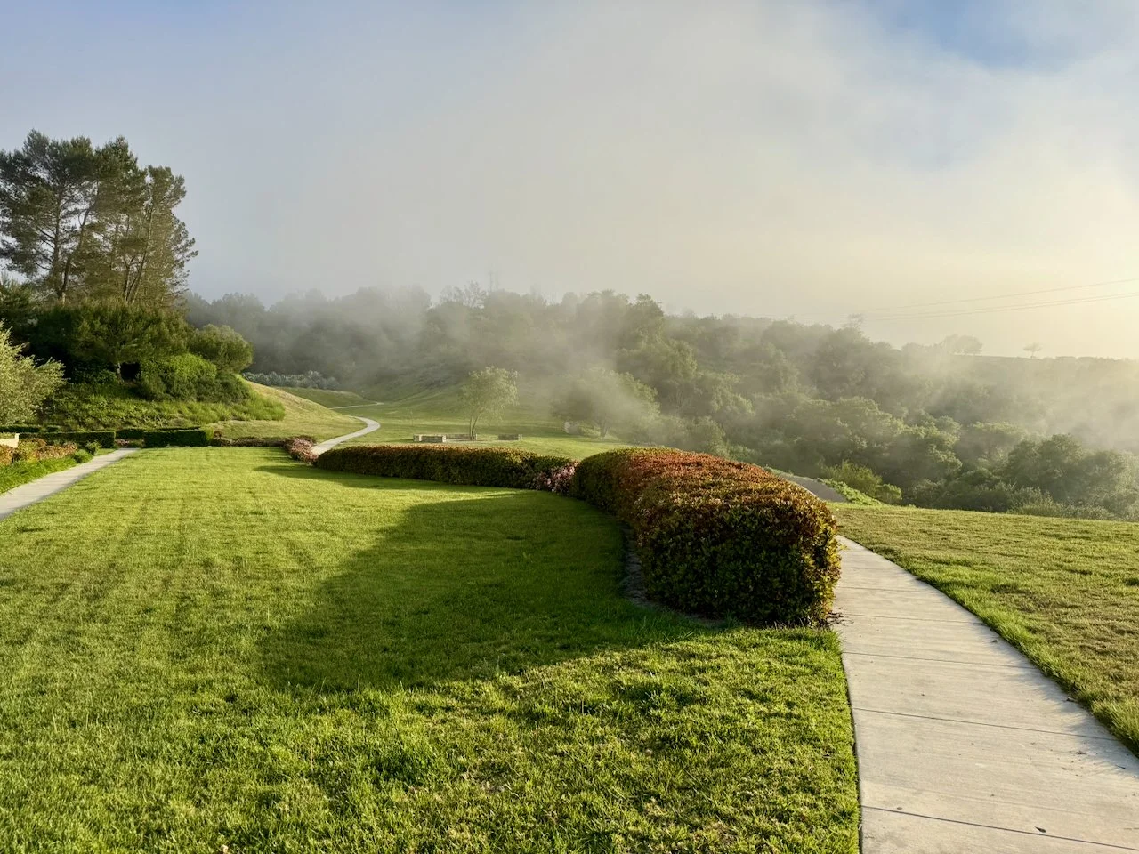 wojyearinreview25_08 - 12.jpeg