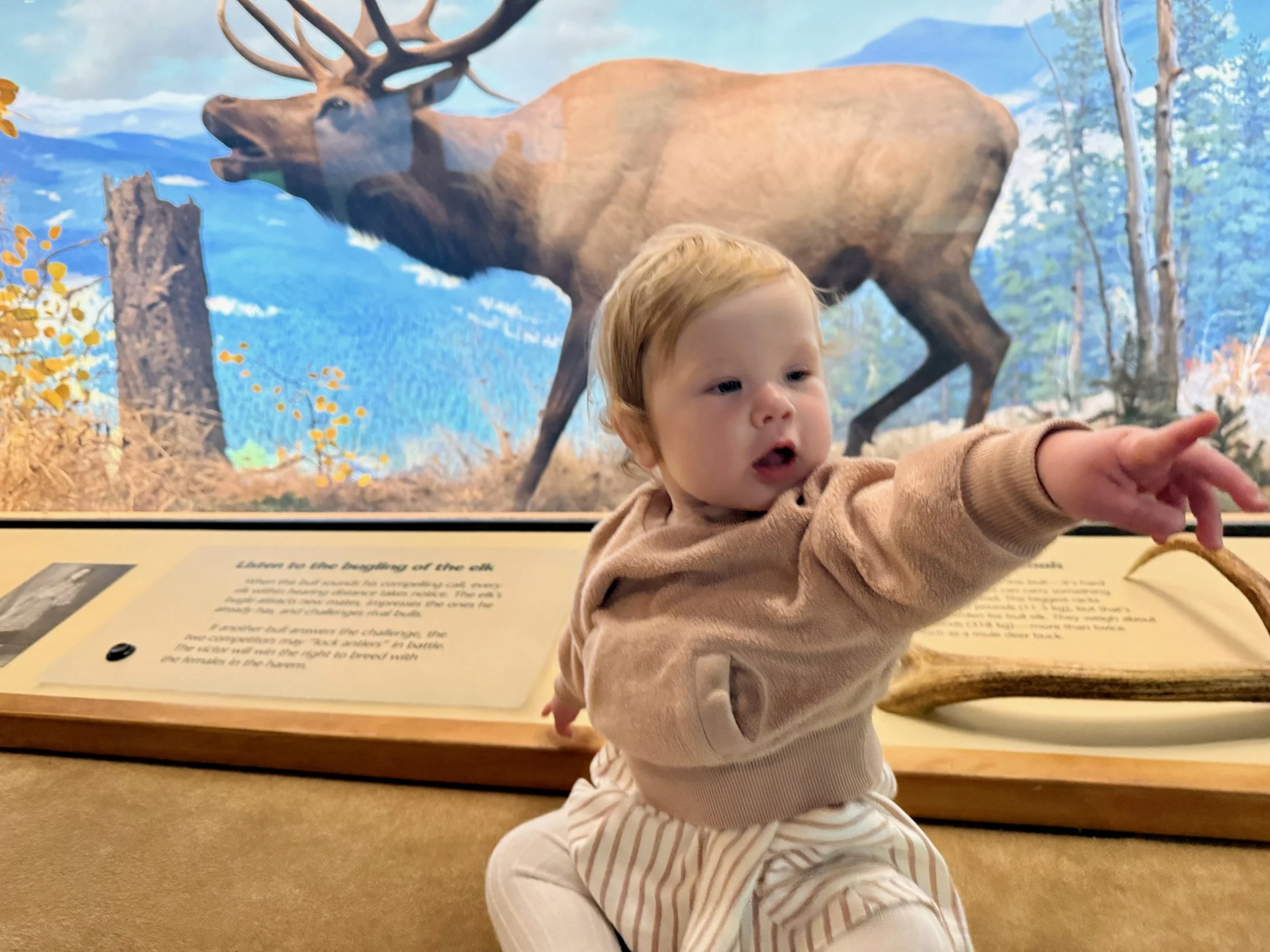 wojyearinreview25_03 - 11.jpeg