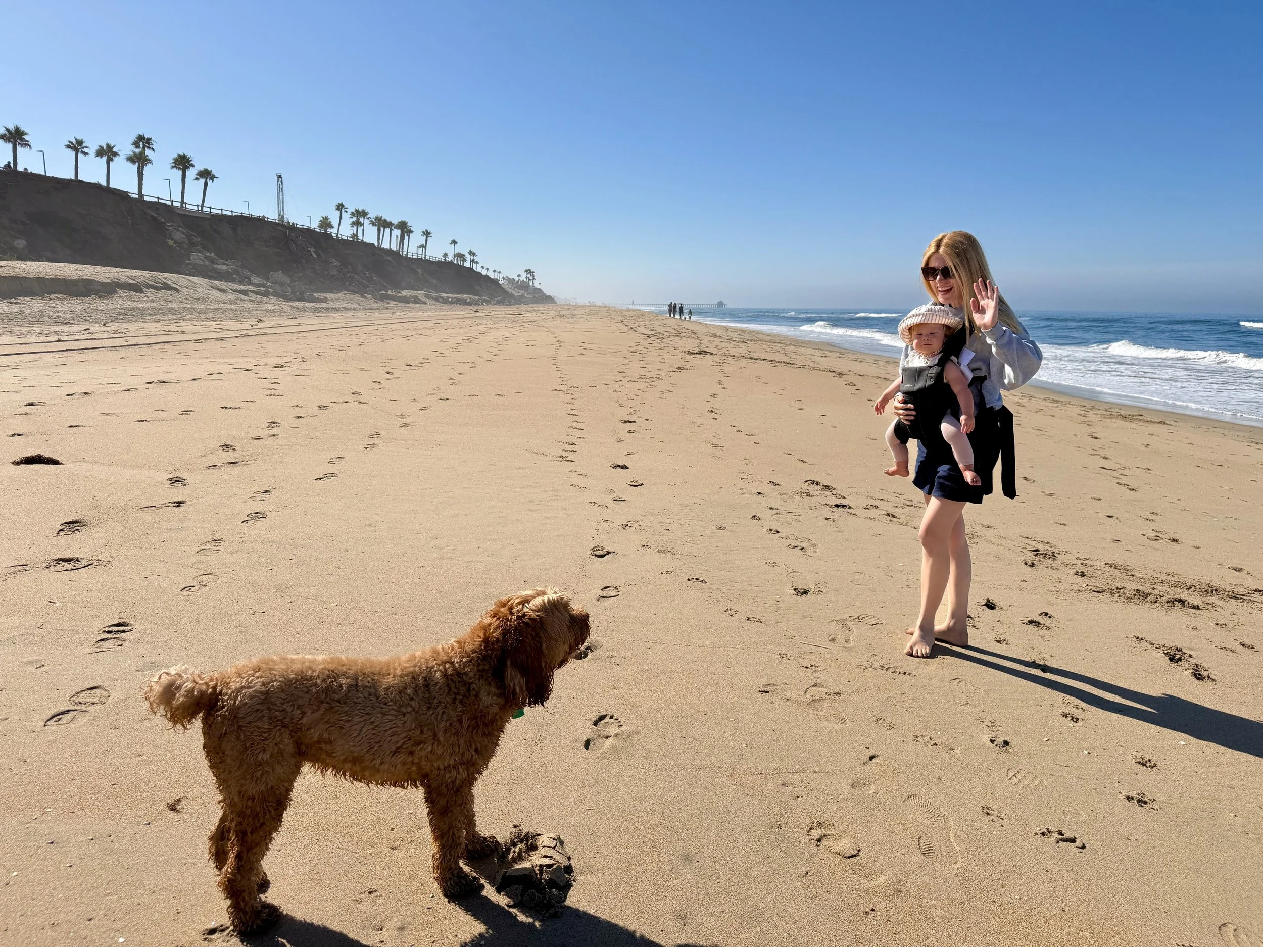 wojyearinreview25_05 - 2.jpeg