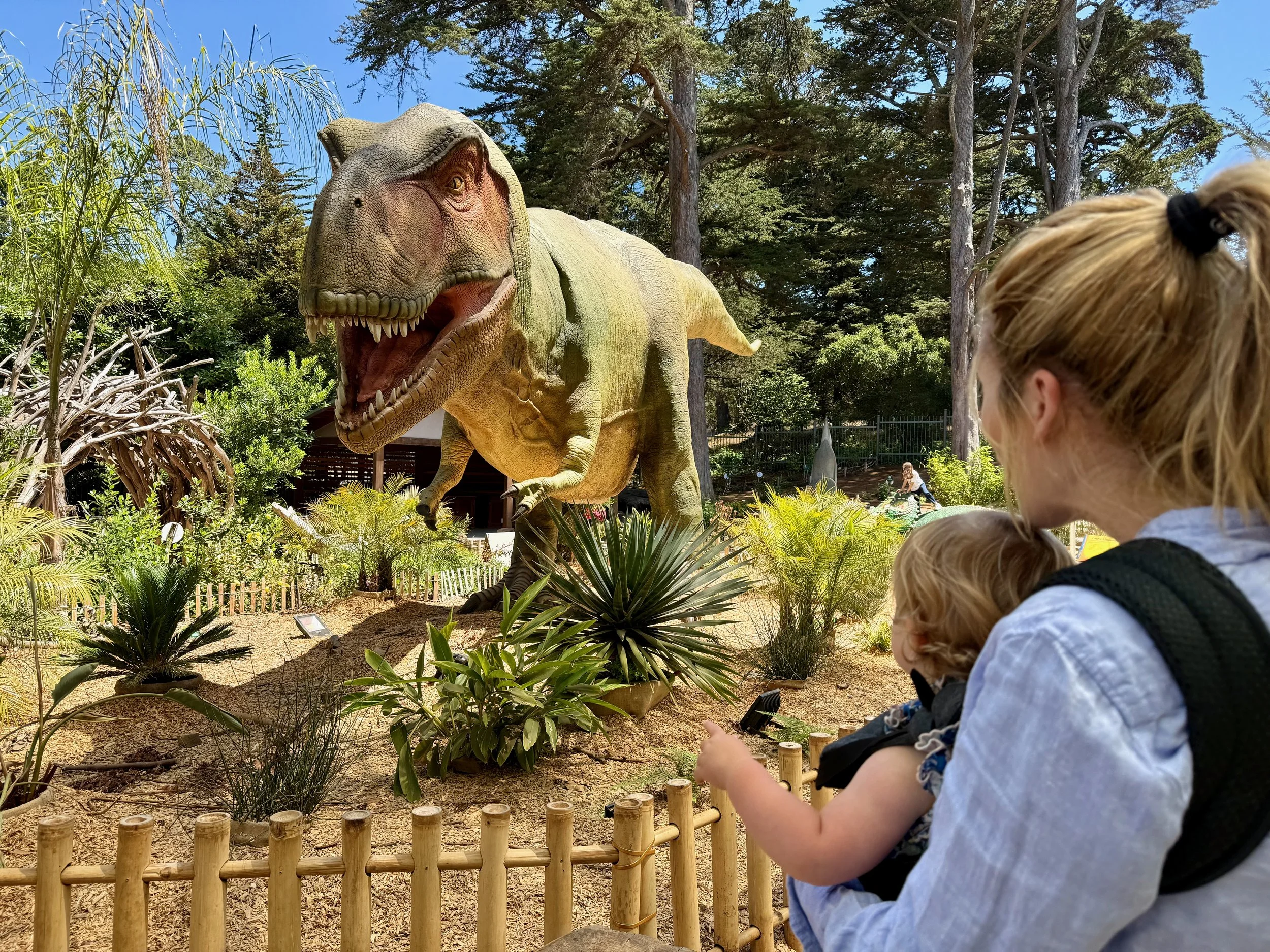 wojyearinreview25_06 - 29.jpeg