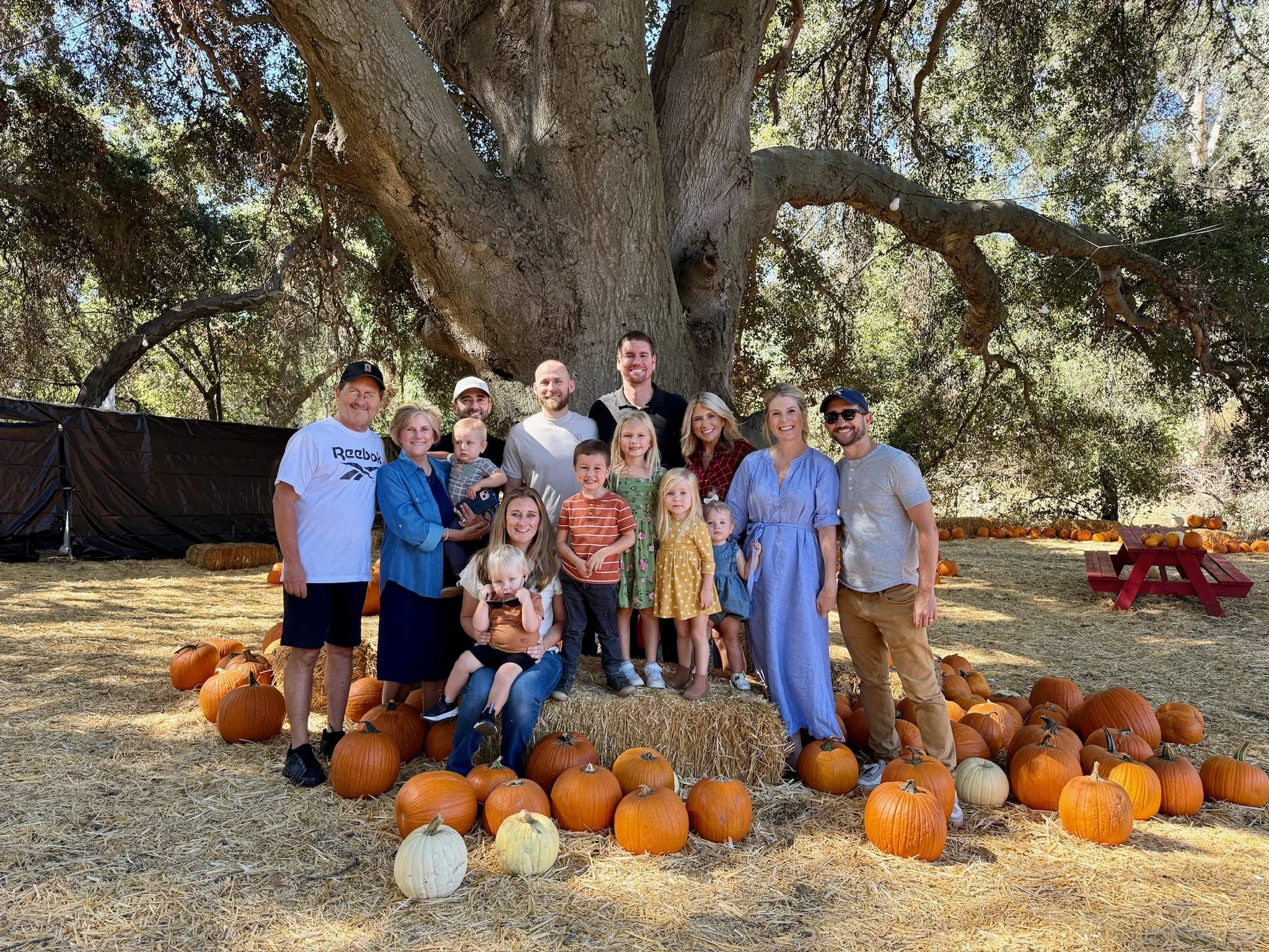 wojyearinreview25_10 - 2.jpeg