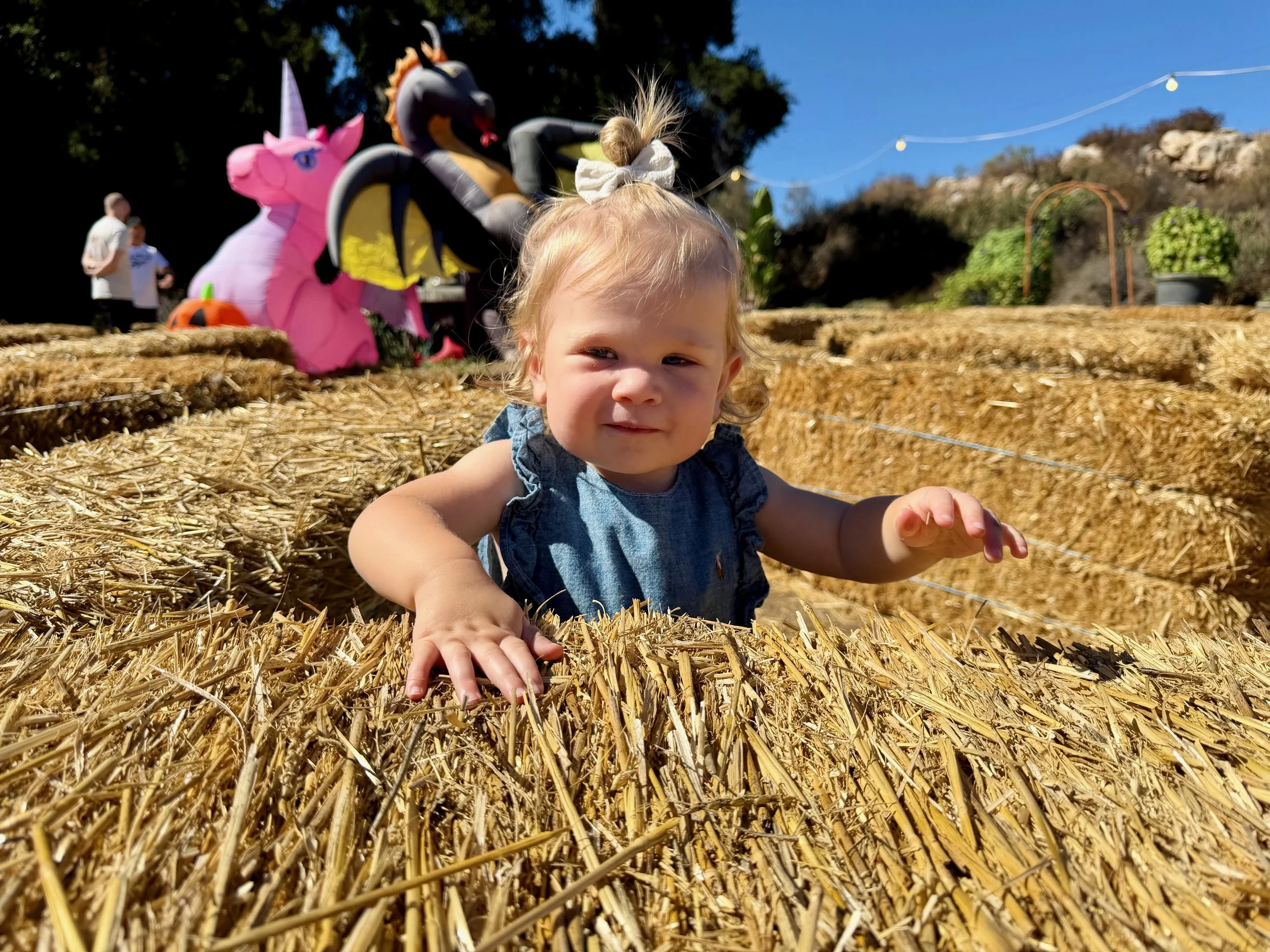 wojyearinreview25_10 - 1.jpeg