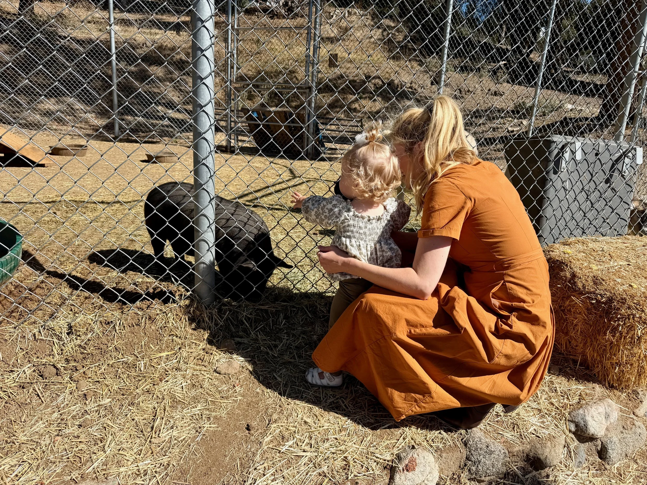 wojyearinreview25_10 - 10.jpeg