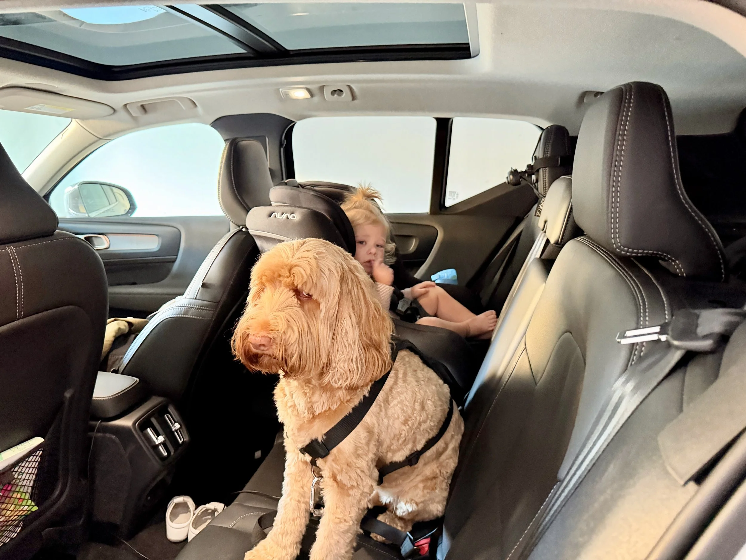 wojyearinreview25_12 - 1.jpeg