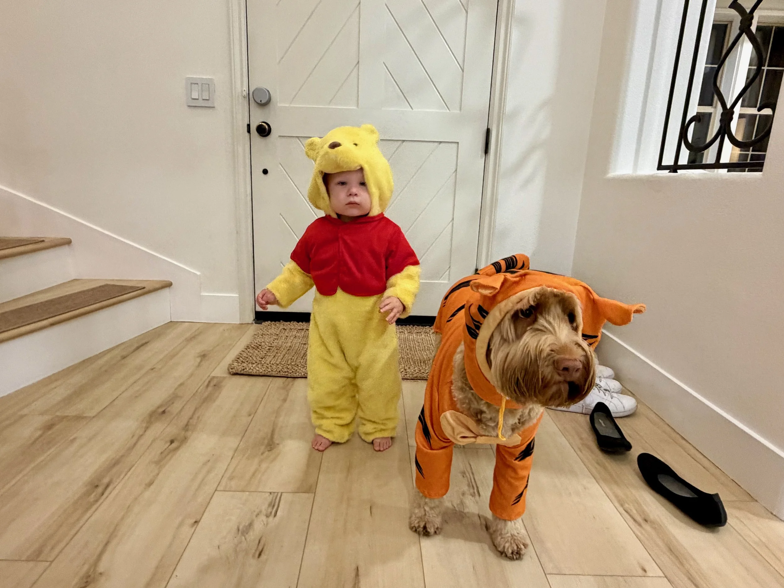 wojjennyearinreview25_20 - 25.jpeg