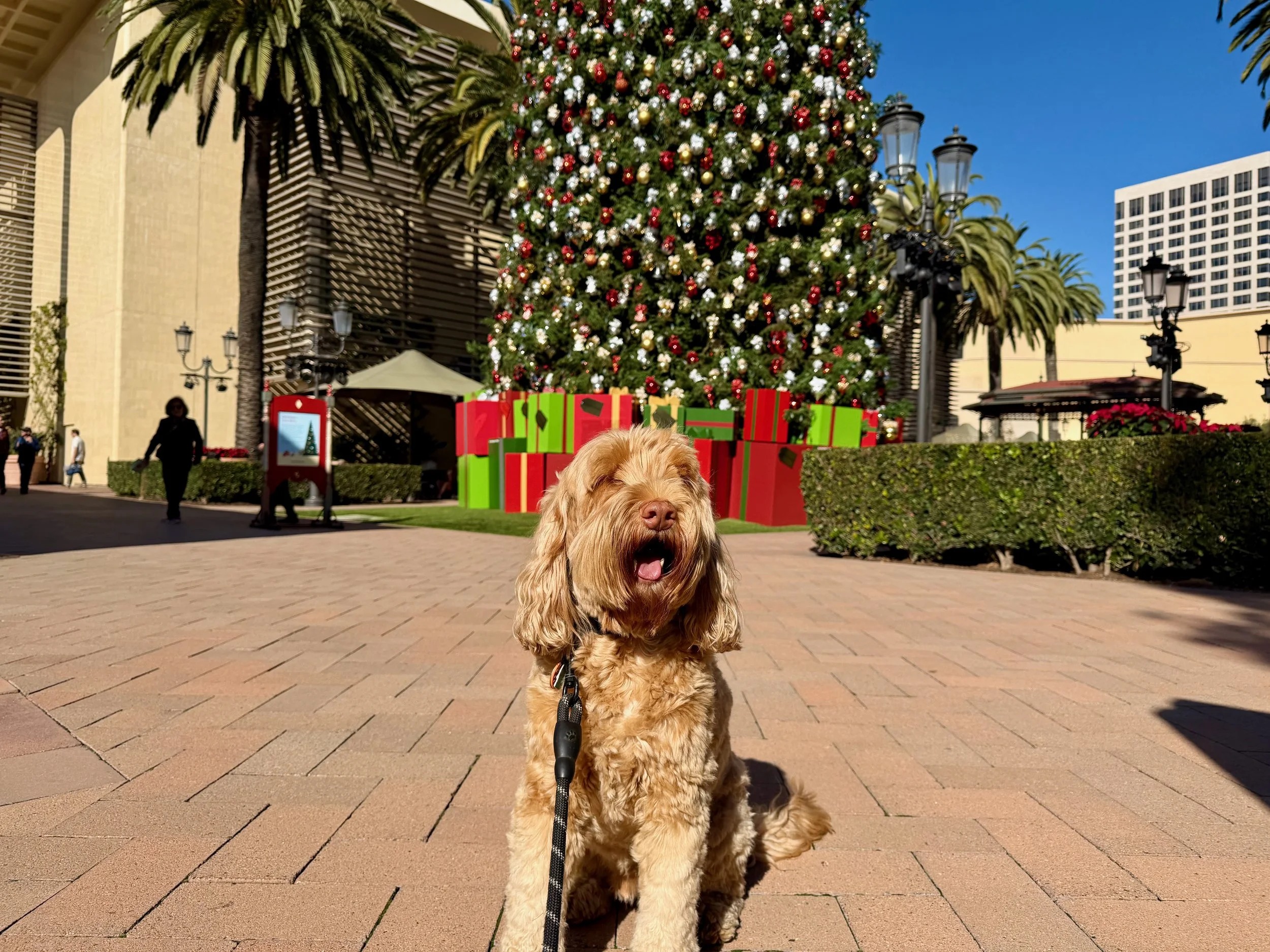 wojjennyearinreview25_23 - 4.jpeg