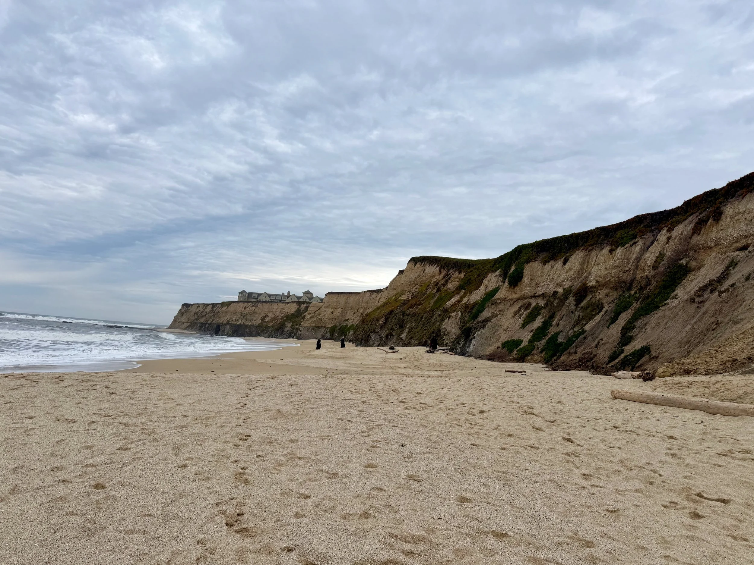 wojfeb26_03 - 4.jpeg