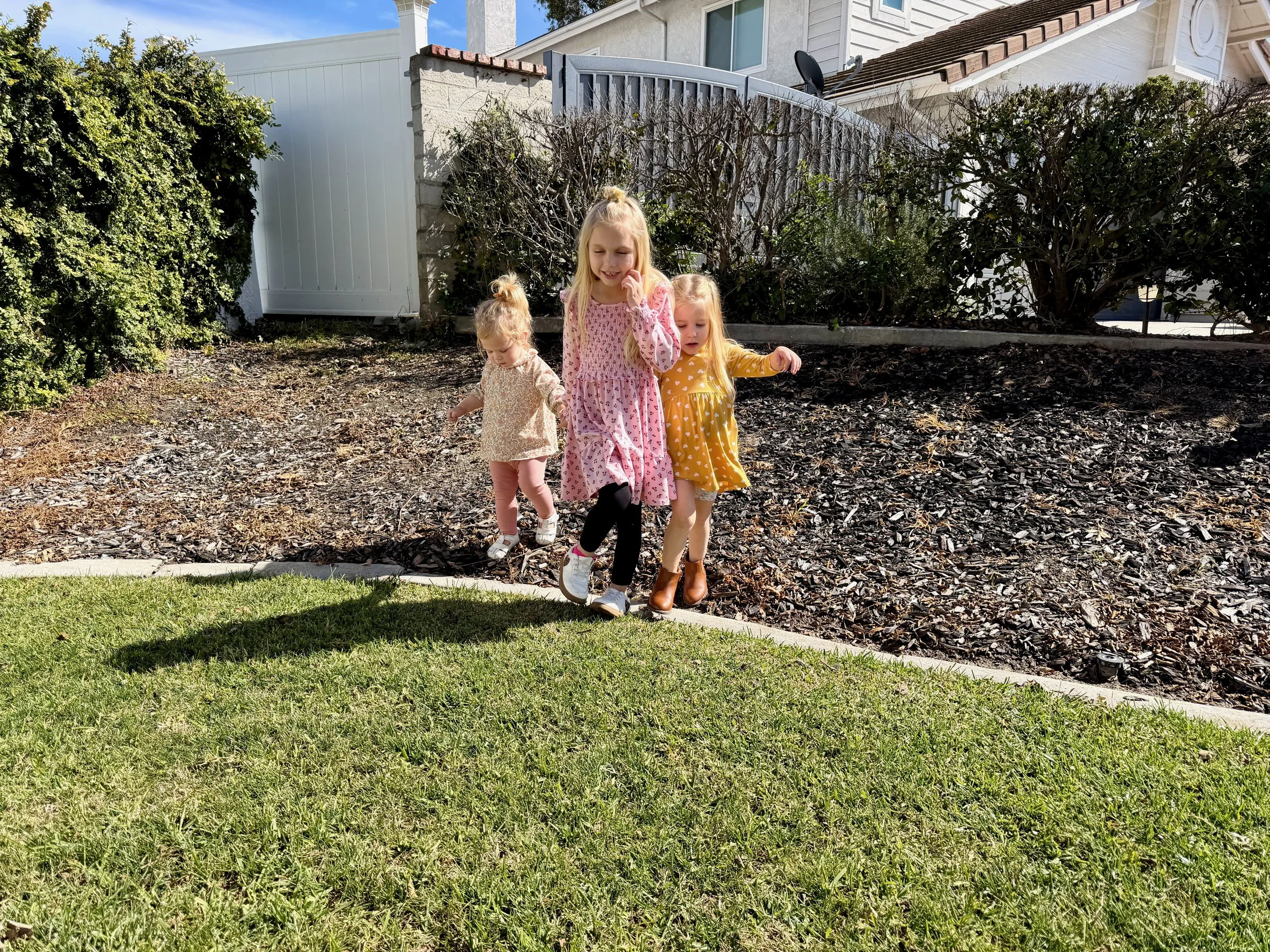 wojfeb26_05 - 5.jpeg