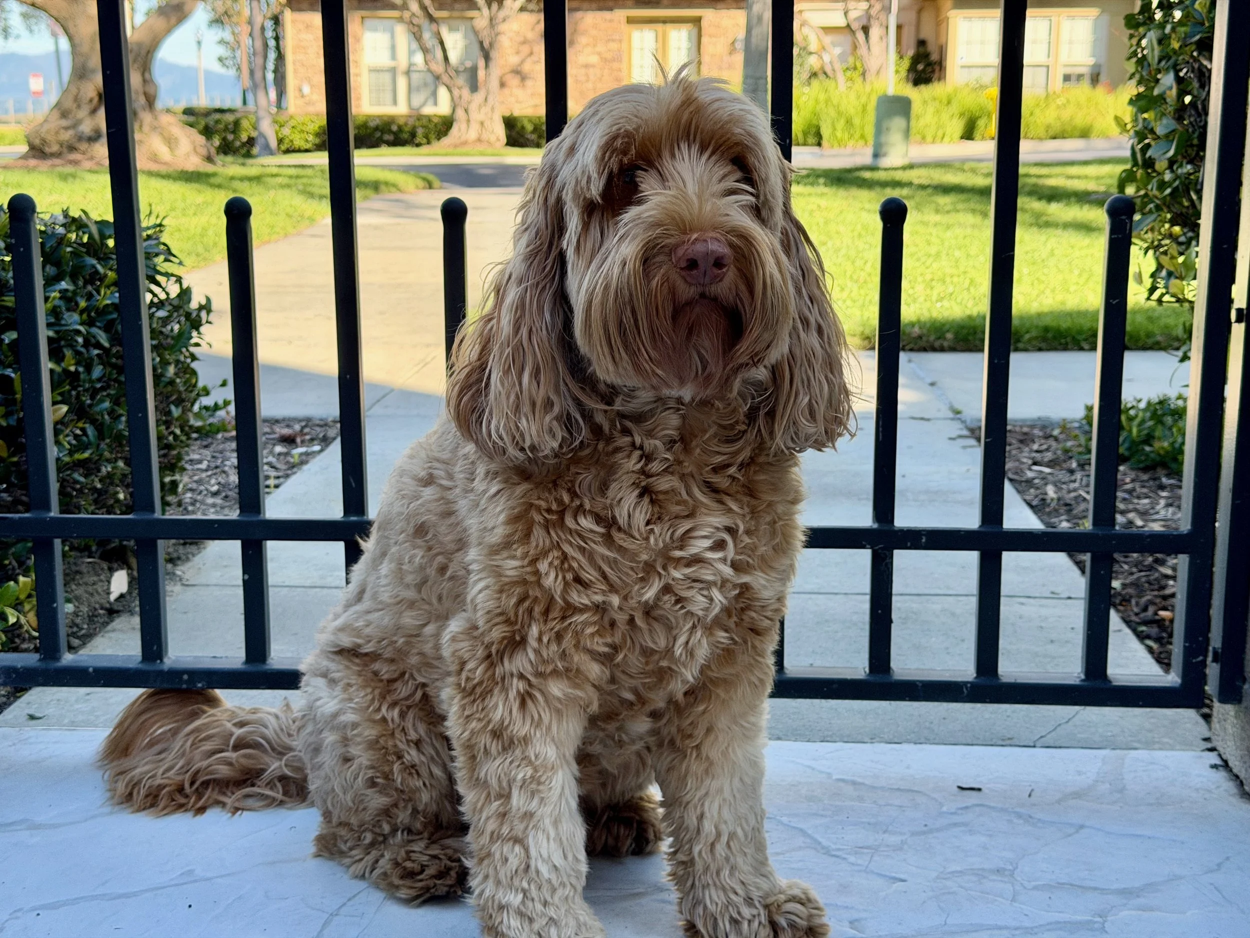 wojfeb26_05 - 11.jpeg