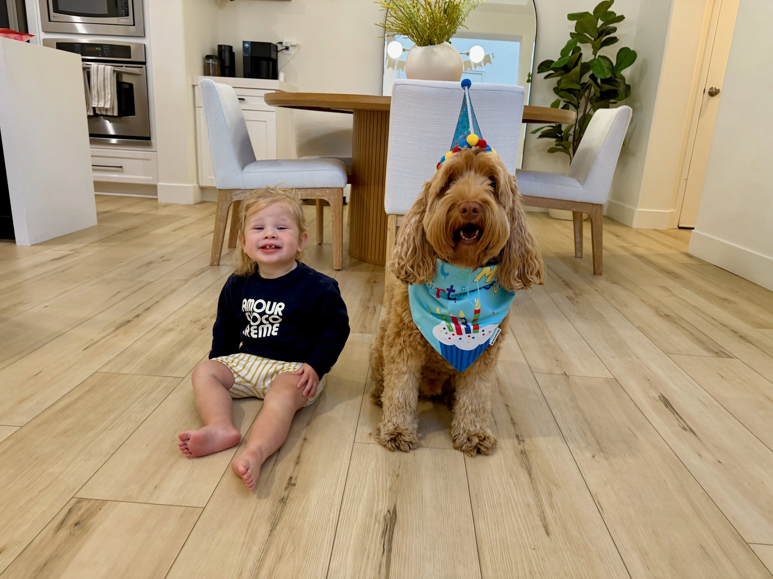 A Look Back - February 2026