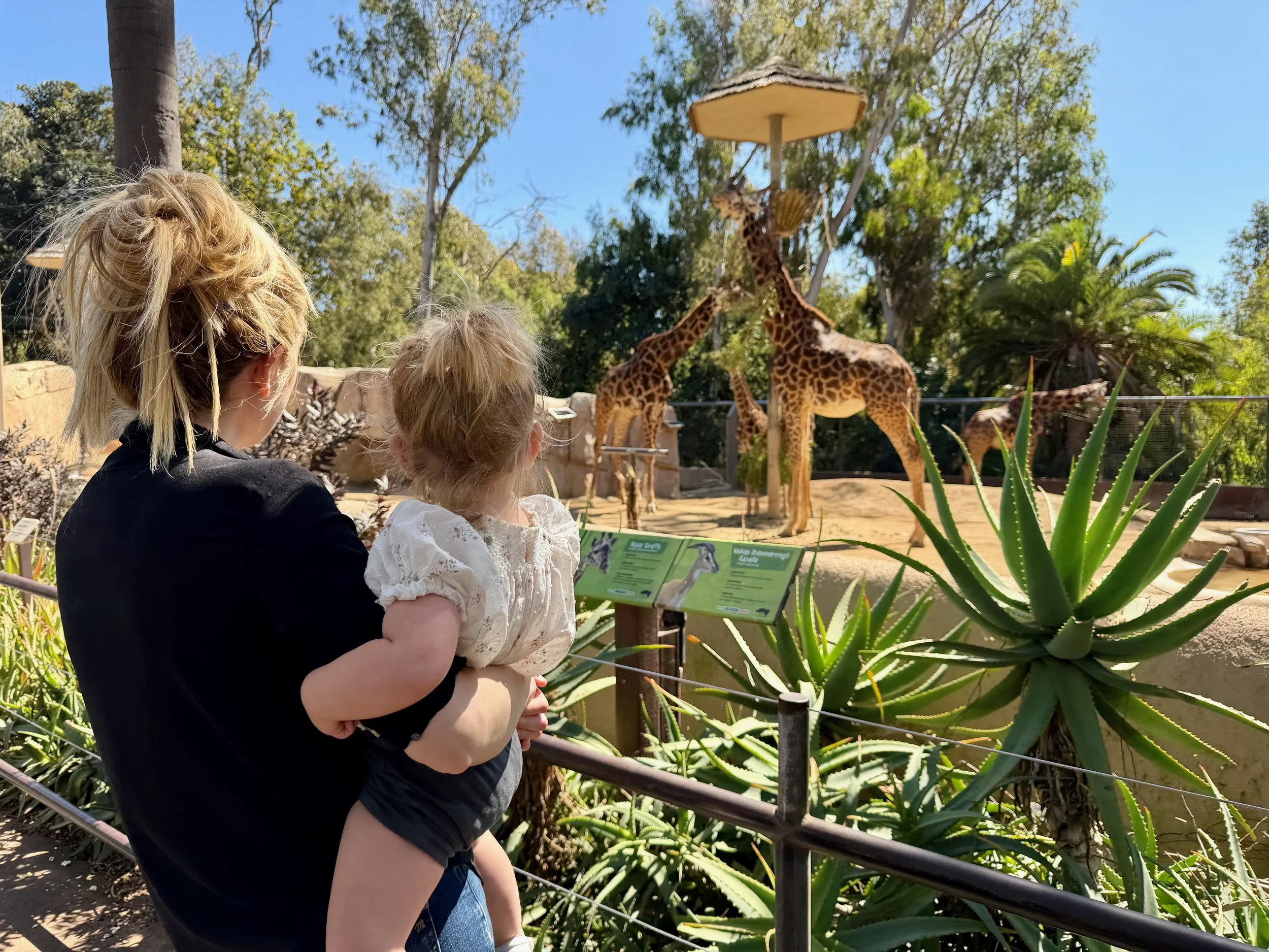 wojmar26_04 - 4.jpeg