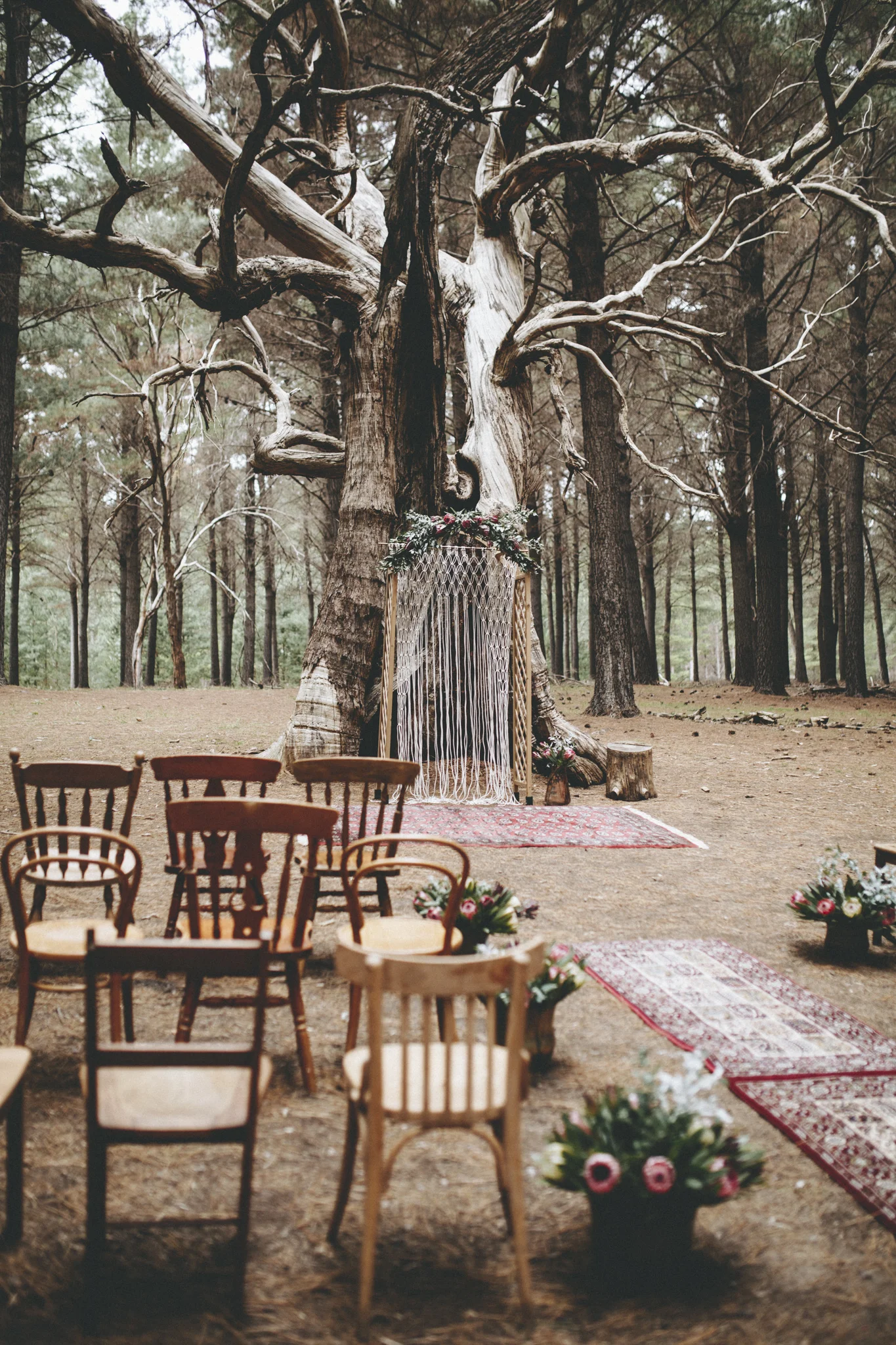christopher morrison_adelaide wedding photographer_kuitpo forest wedding-9.jpg