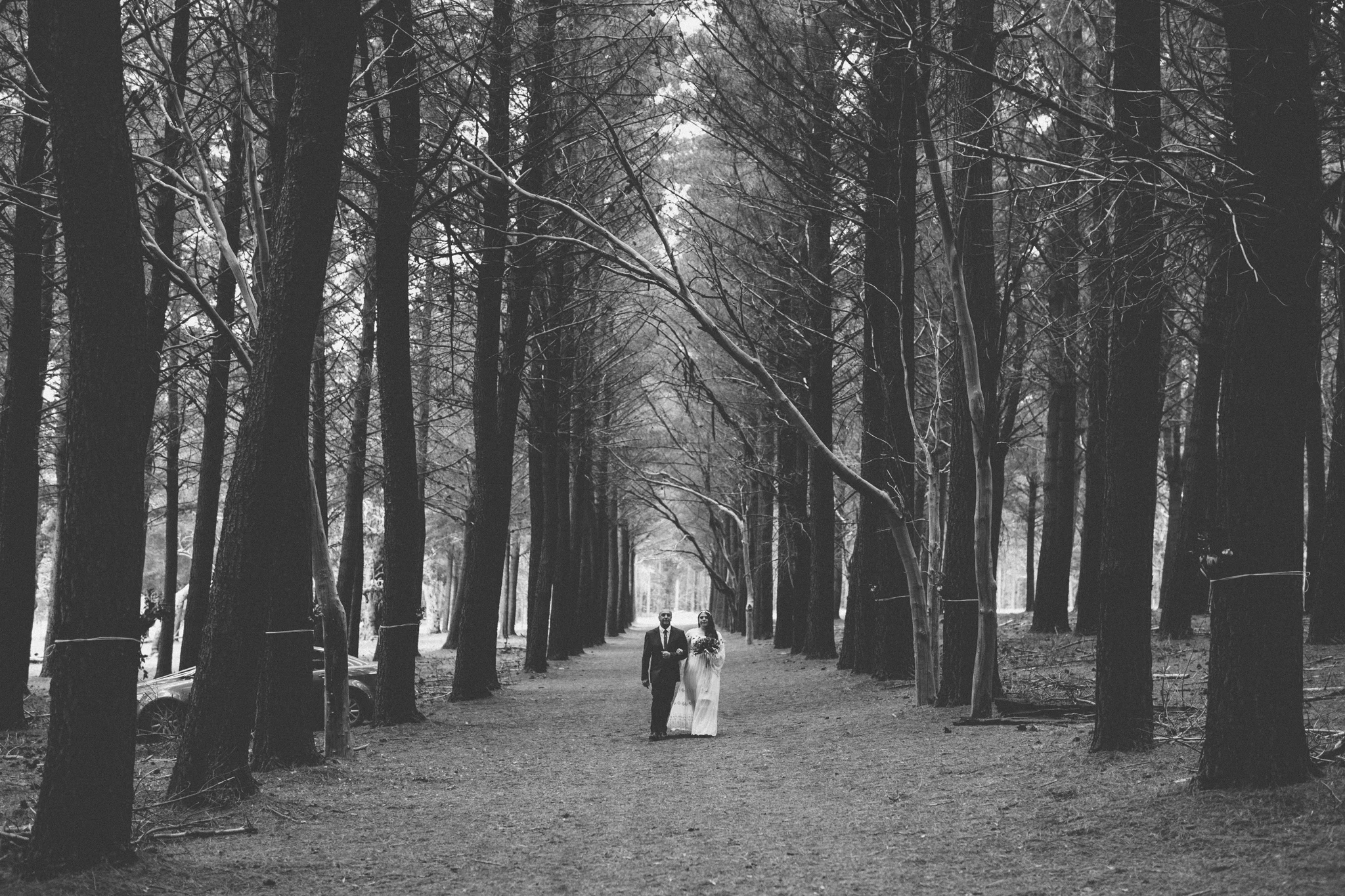 christopher morrison_adelaide wedding photographer_kuitpo forest wedding-28.jpg