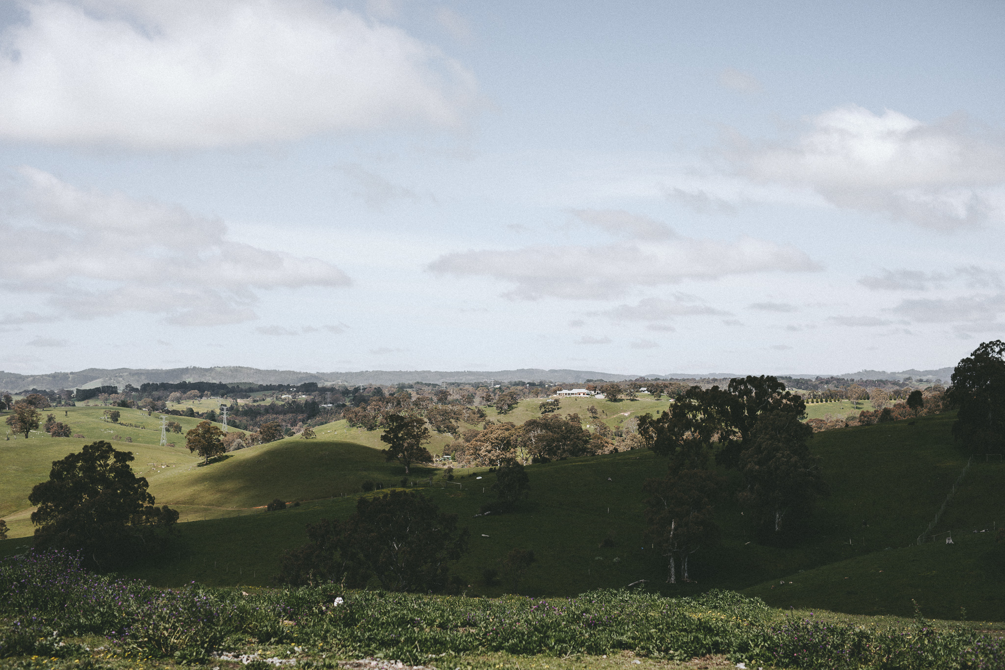 christopher morrison_adelaide hills wedding_ andy + teegan_2_0064.jpg