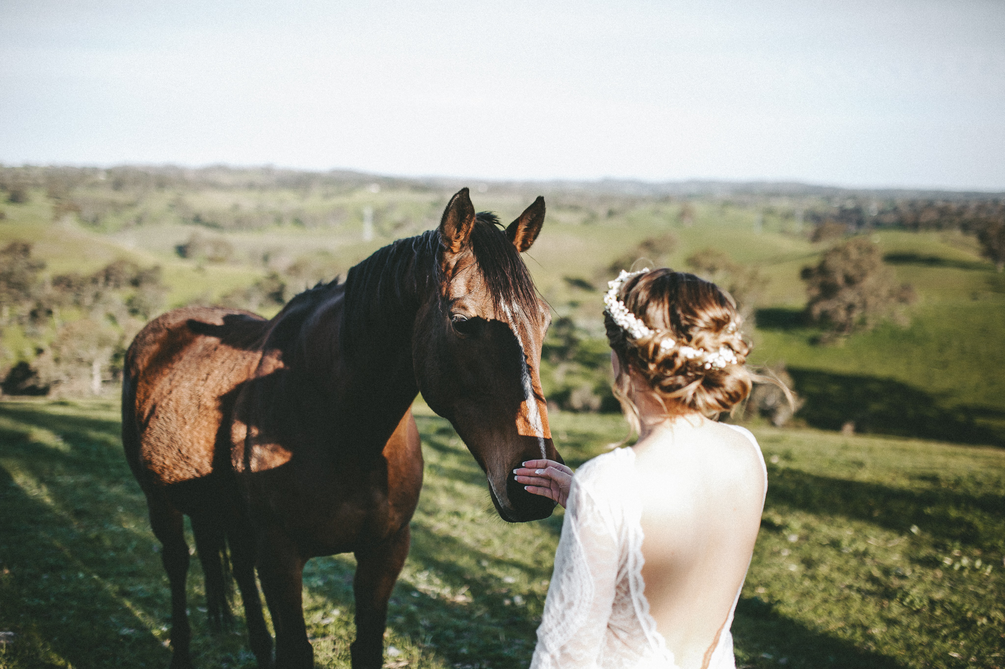 christopher morrison_adelaide hills wedding_ andy + teegan_52_9860.jpg