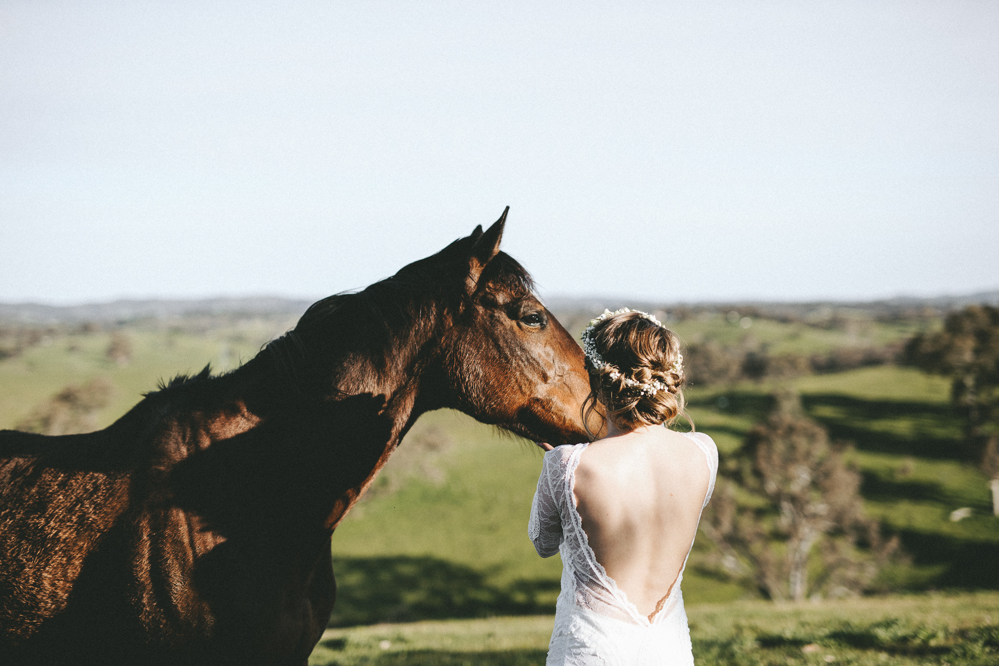 christopher morrison_adelaide hills wedding_ andy + teegan_53_0752.jpg