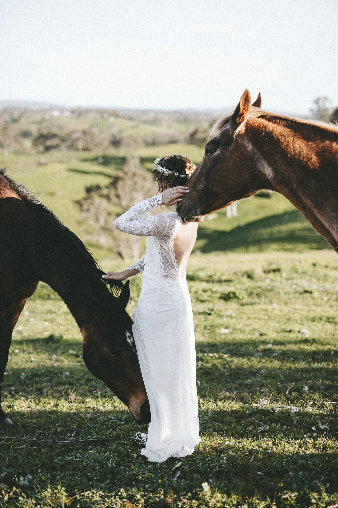 christopher morrison_adelaide hills wedding_ andy + teegan_54_0756.jpg