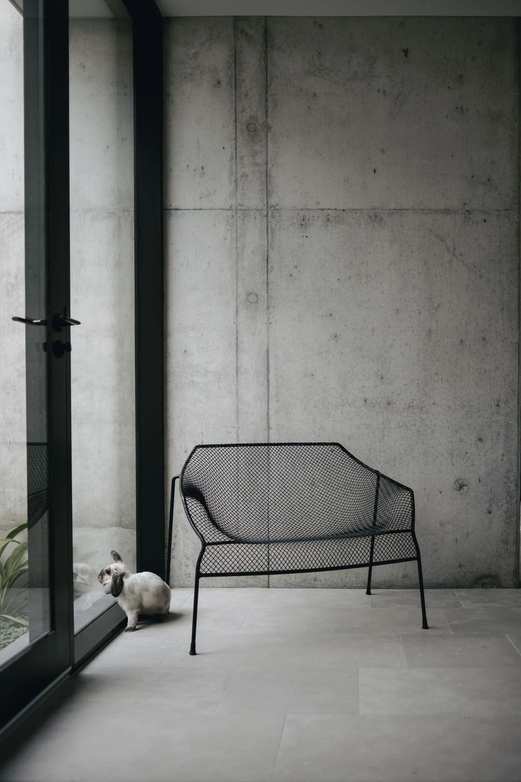 design by WBL_cambridge_christopher morrison_026.jpg