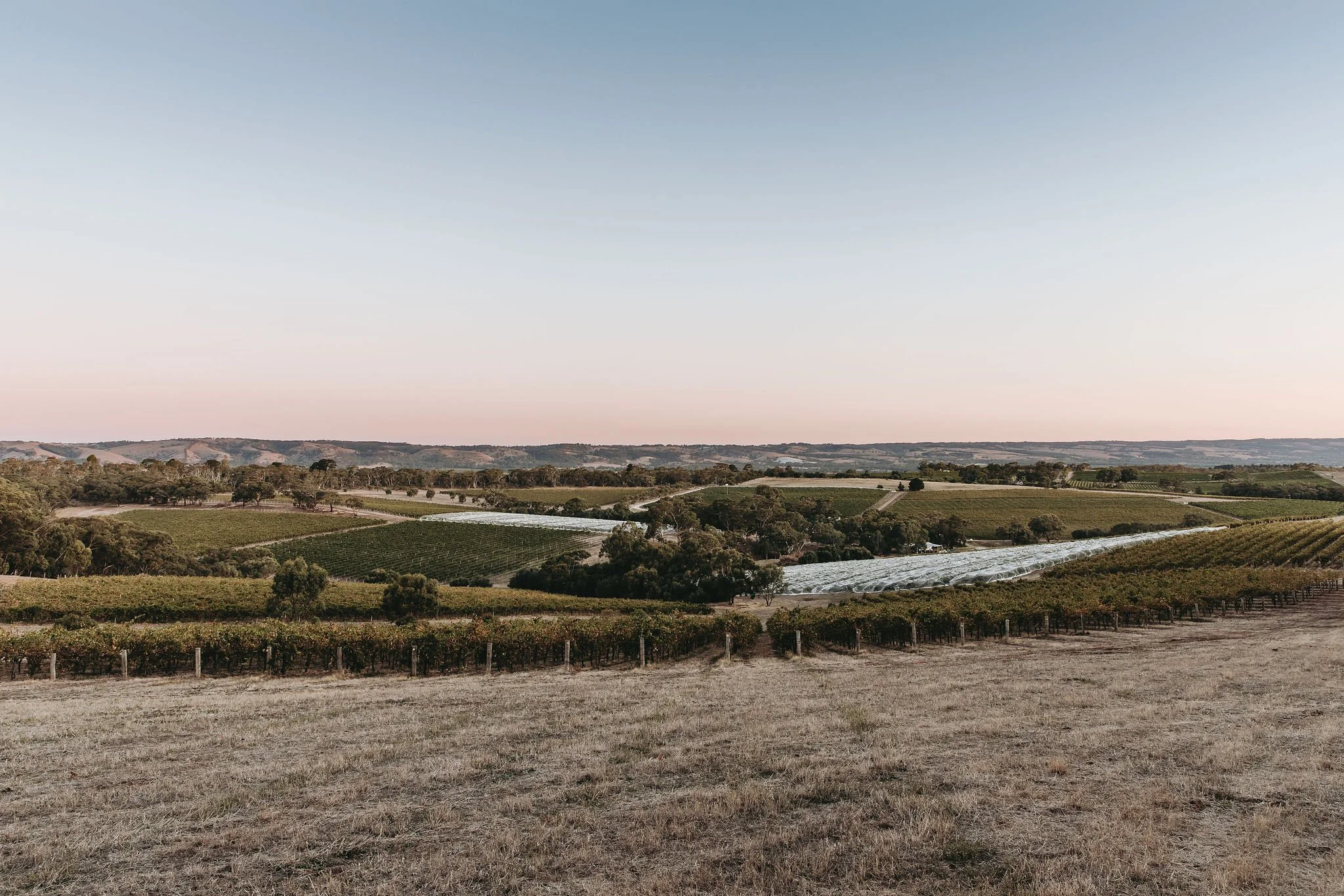 cmphoto_countrystyle_oxhardy_213.jpg