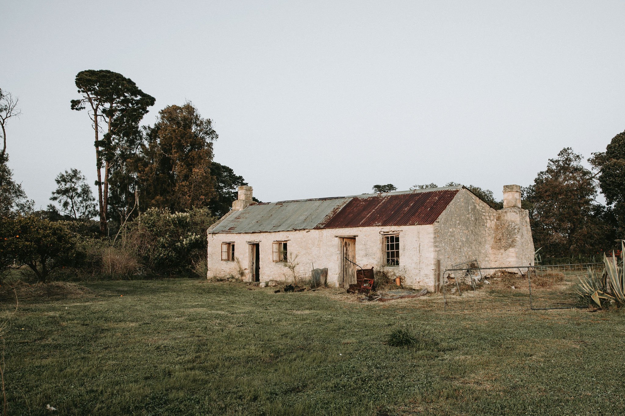 210908_christophermorrisonphoto_countrystyle_starling_007.jpg