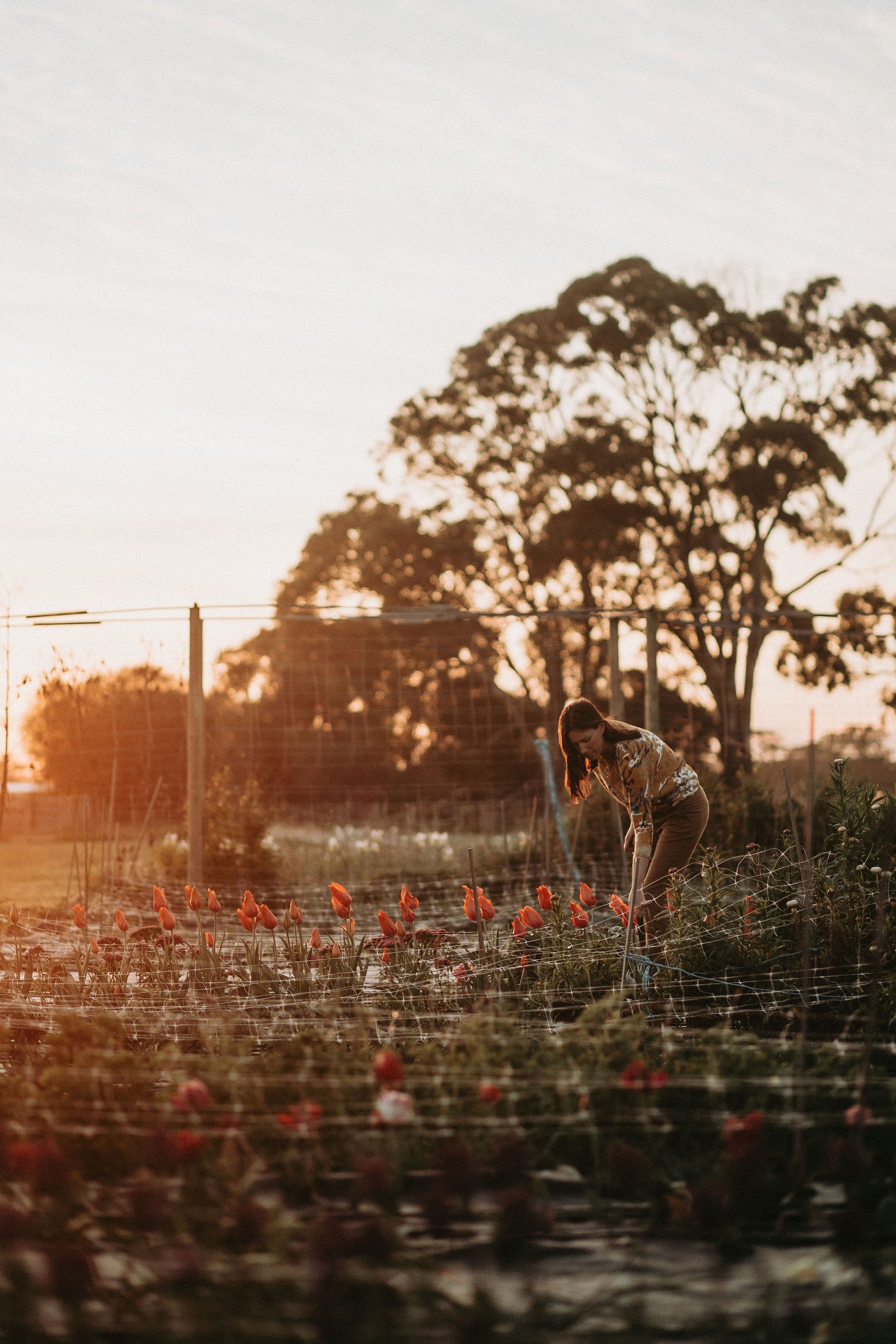 210908_christophermorrisonphoto_countrystyle_starling_024.jpg