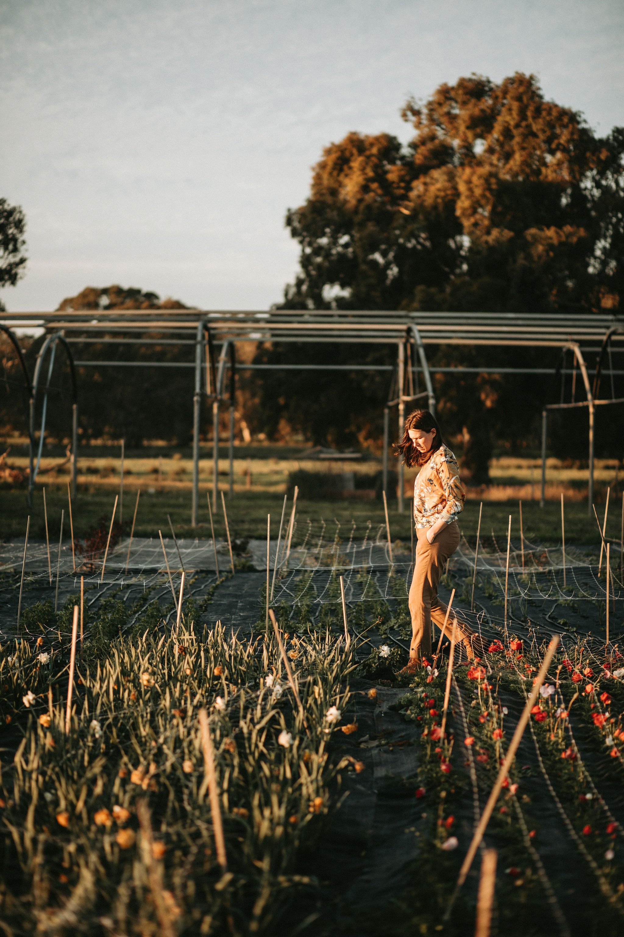 210908_christophermorrisonphoto_countrystyle_starling_039.jpg