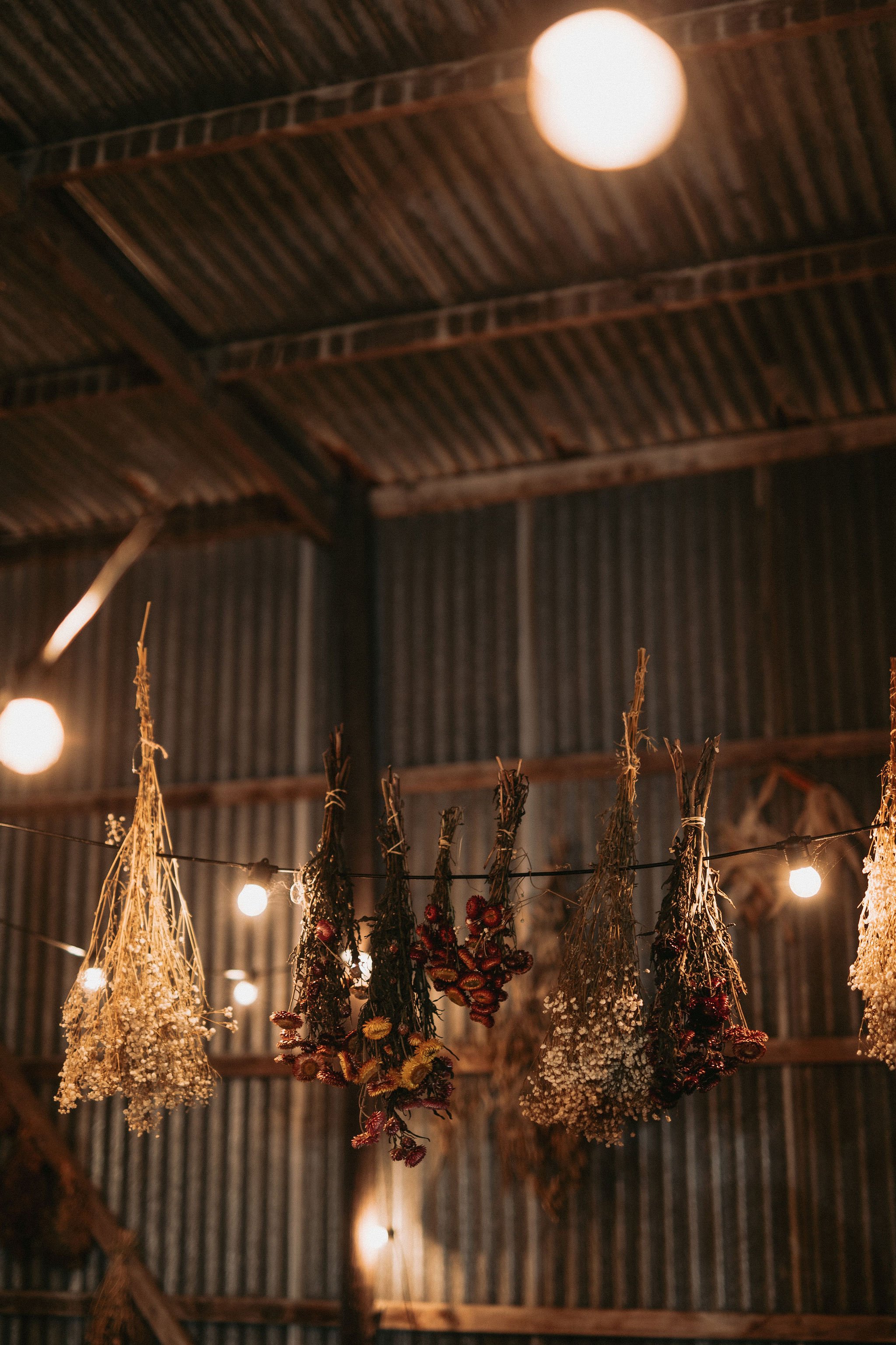 210908_christophermorrisonphoto_countrystyle_starling_190.jpg