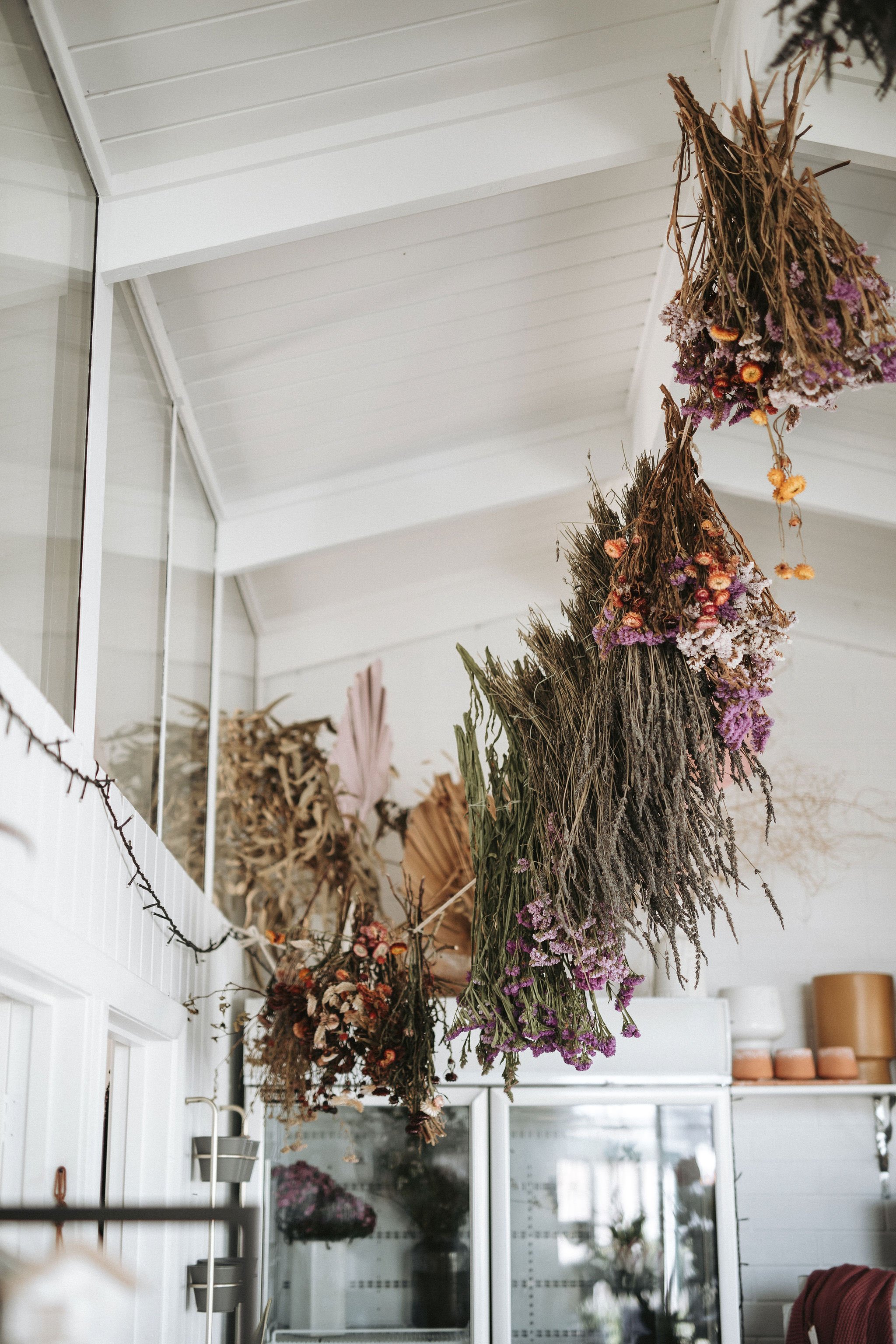 210908_christophermorrisonphoto_countrystyle_starling_198.jpg