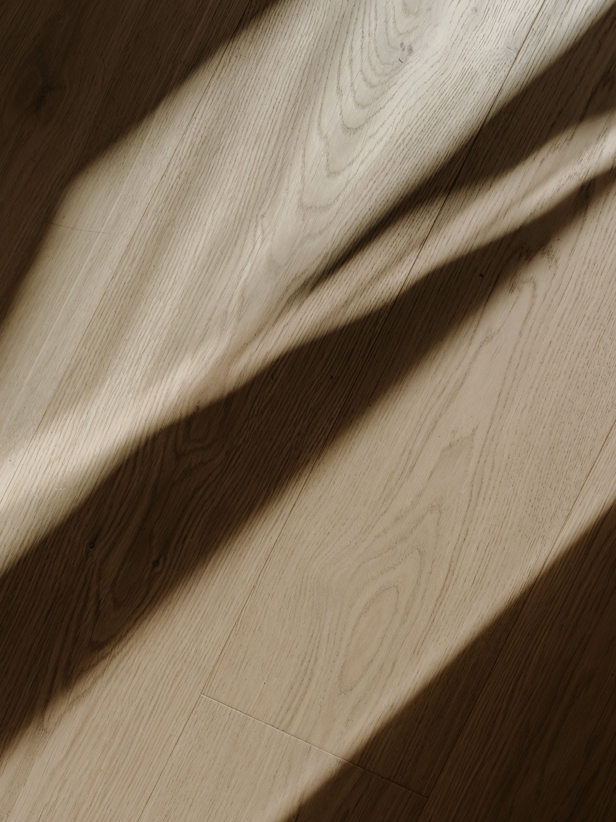 251016_christopher morrison_little archer_0572.jpg