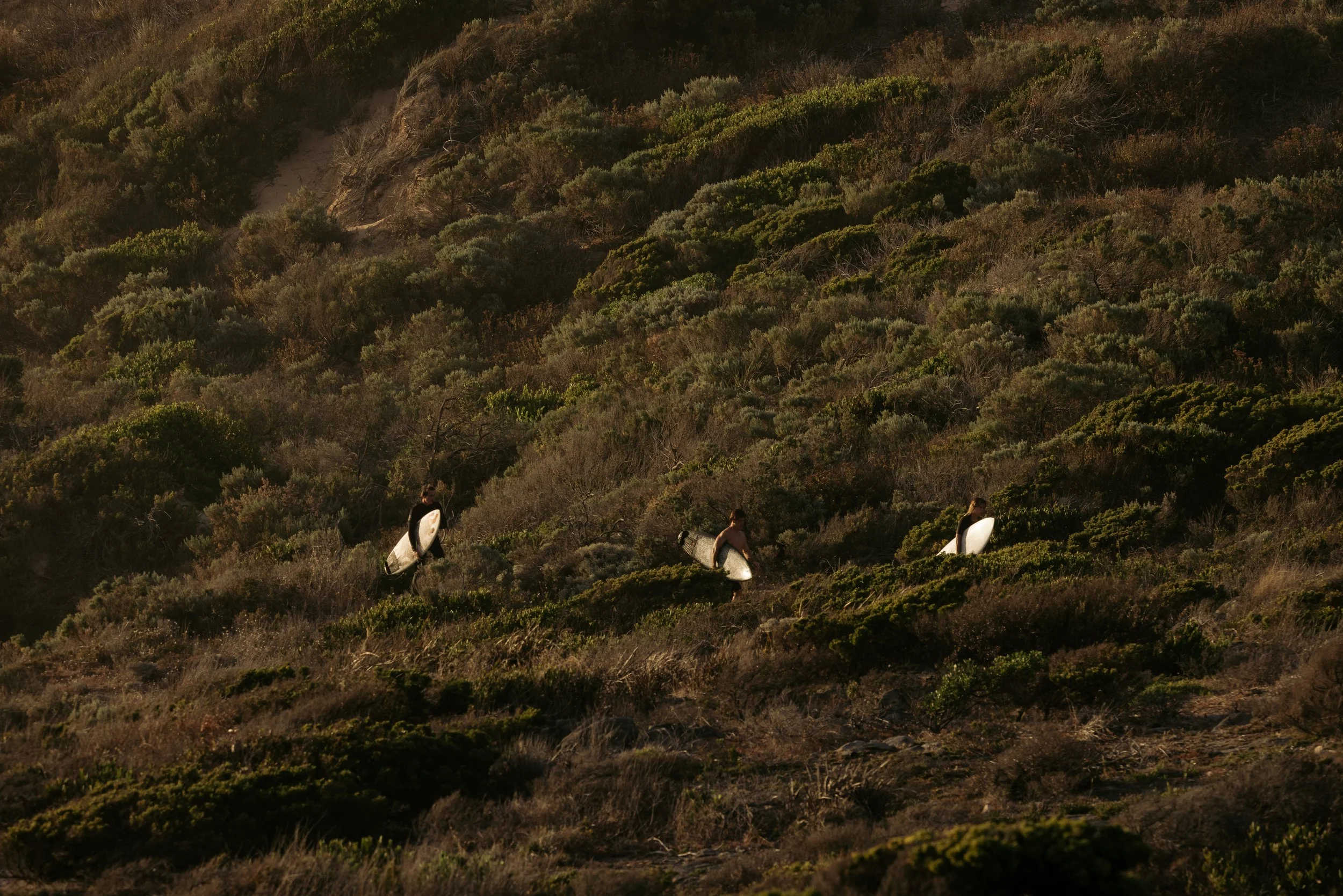 260117_SATC_the coast is calling_4567.jpg