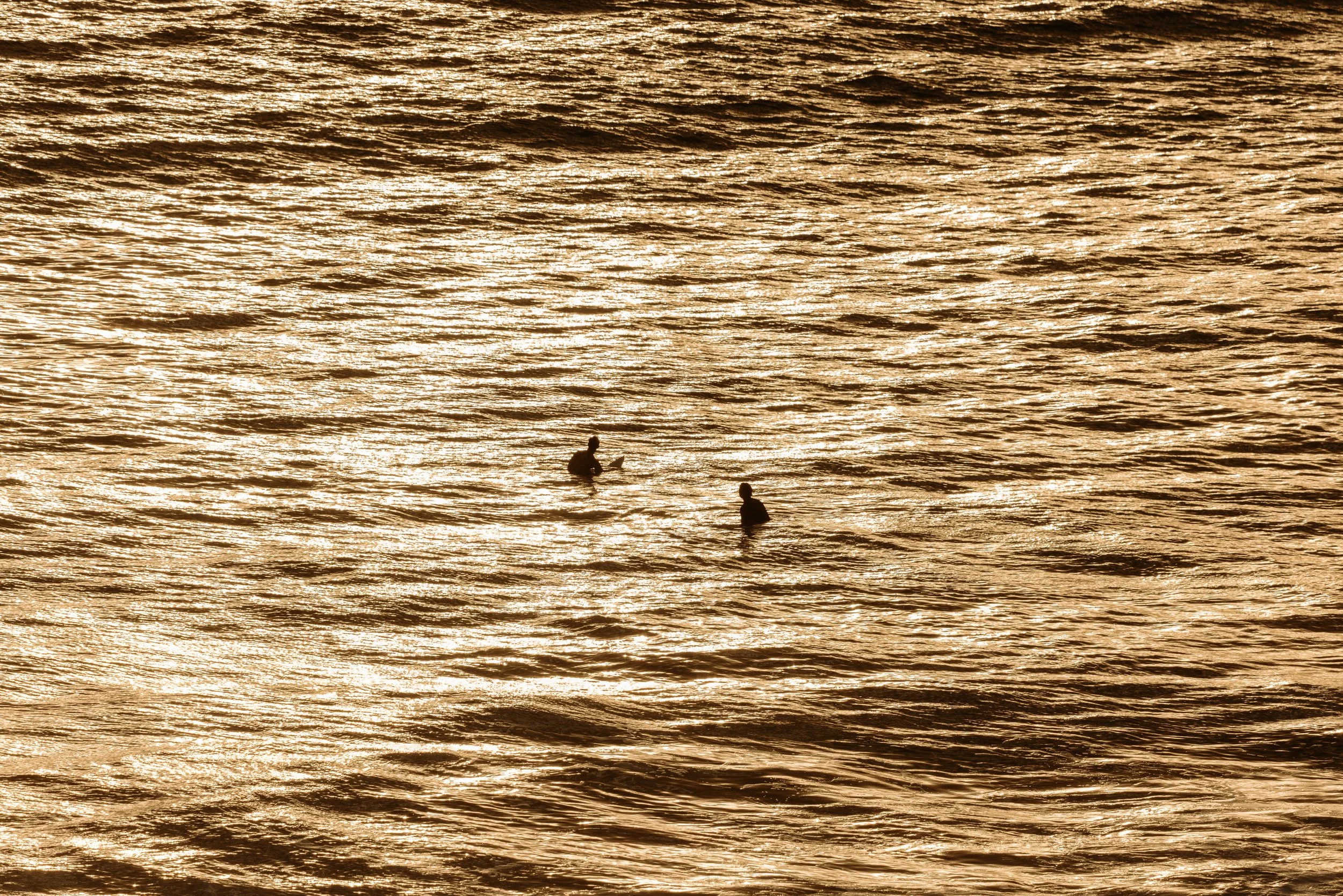 260117_SATC_the coast is calling_4575.jpg