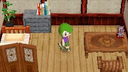 MySims Kingdom DS