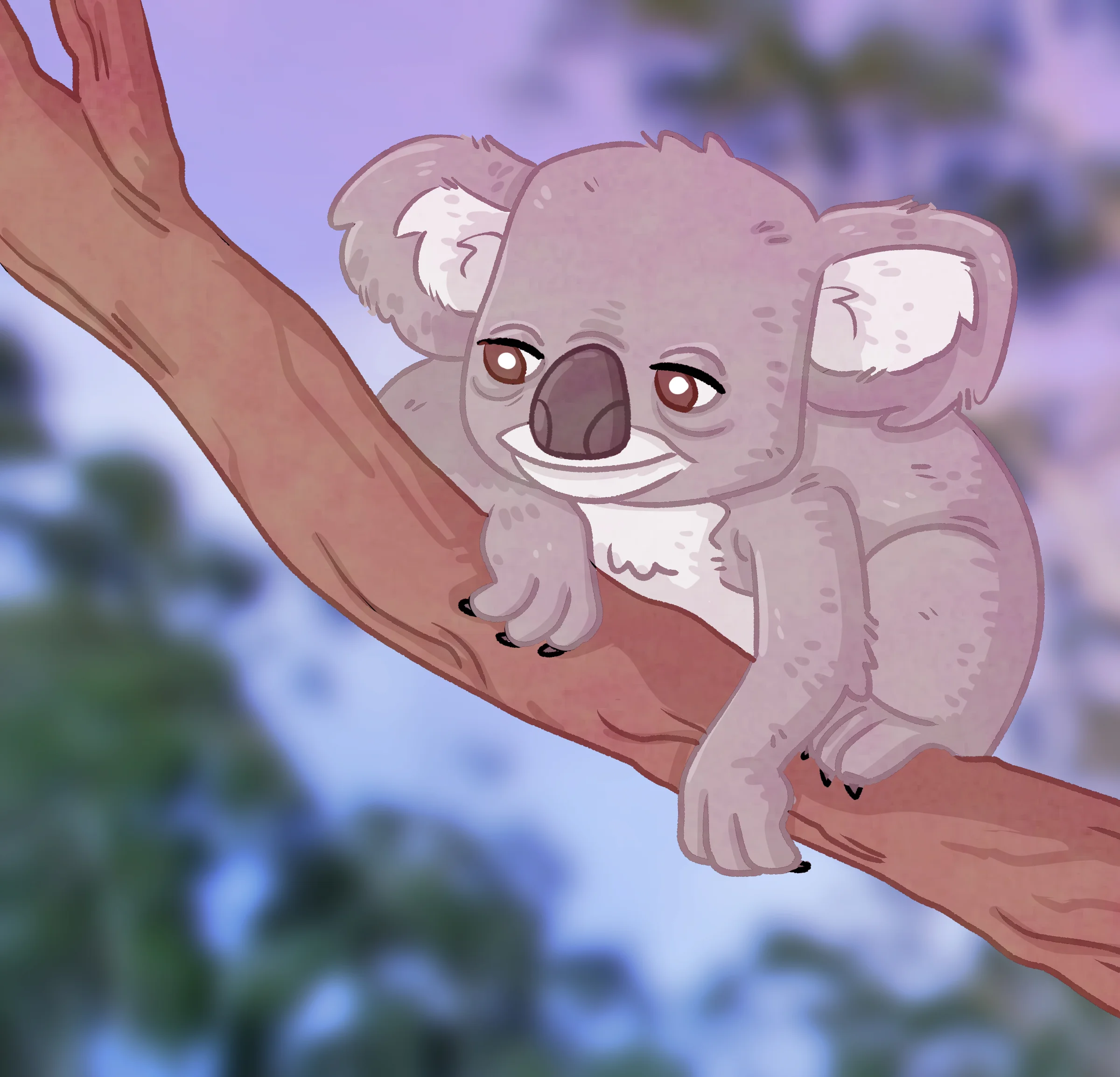 Koala chill