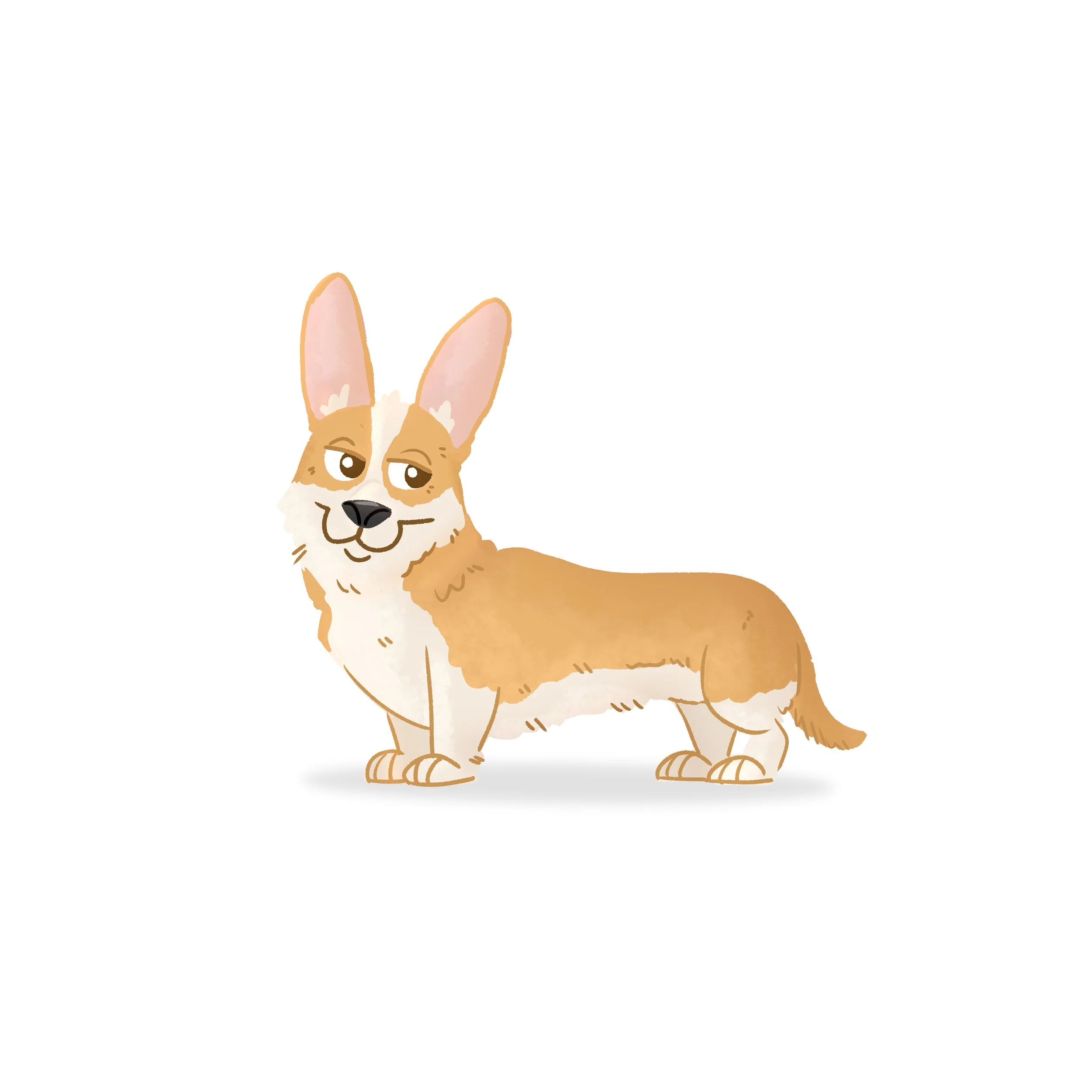Corgi.jpg
