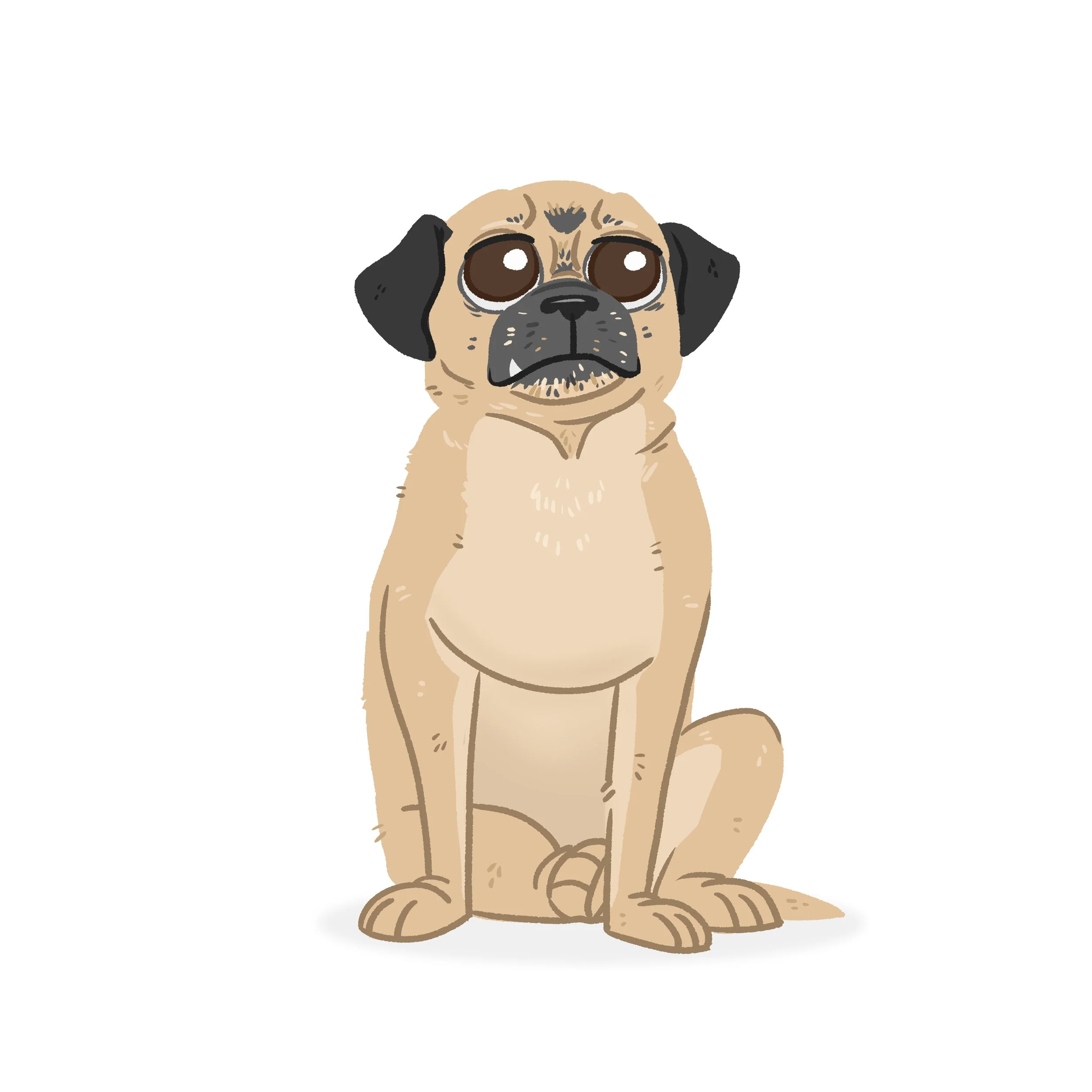 Ollie.jpg