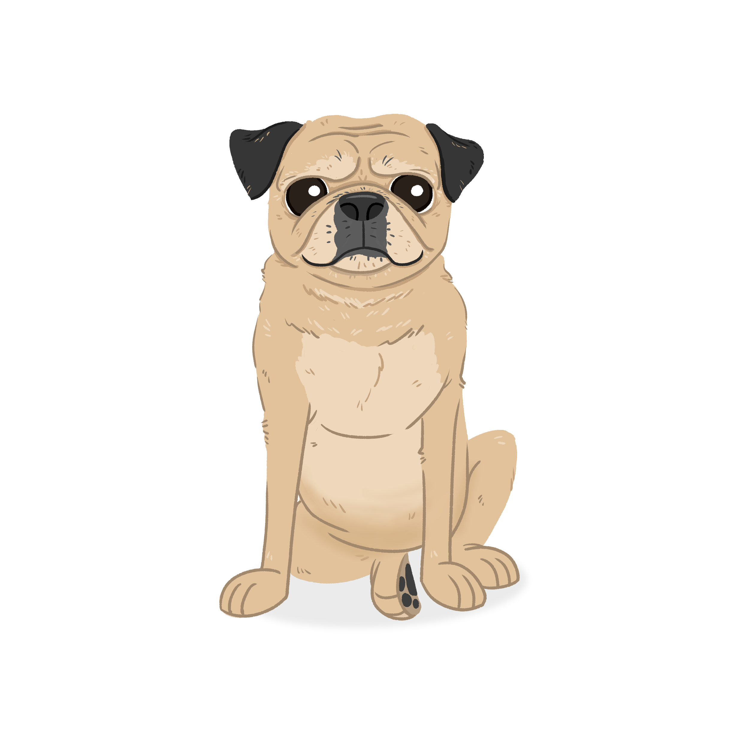 Franklin PNG.png