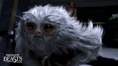 83645-TheMagicians-WW-Beasts-v3.gif
