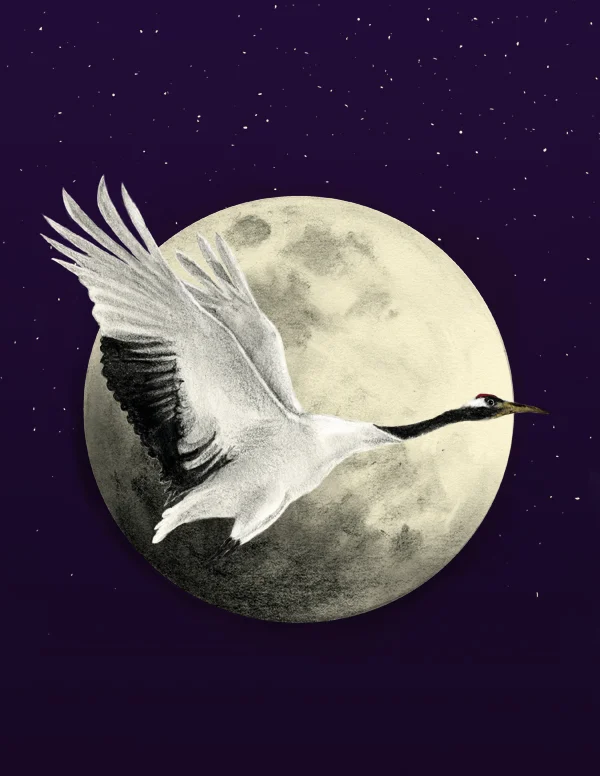 Crane and Moon HAI.jpg