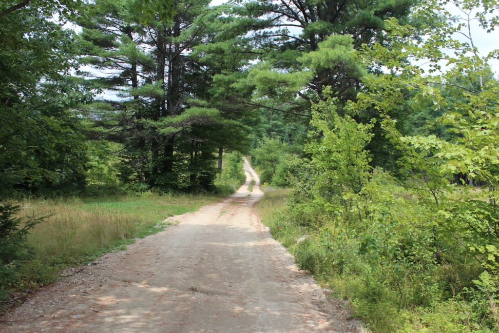 walk the many snow mobile and logging trails.
