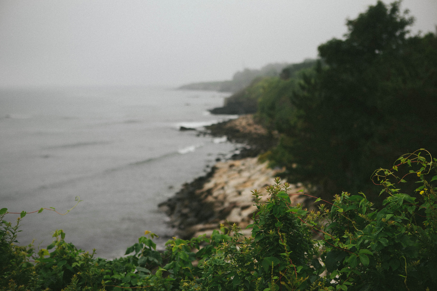 NEWPORT-65_100.jpg