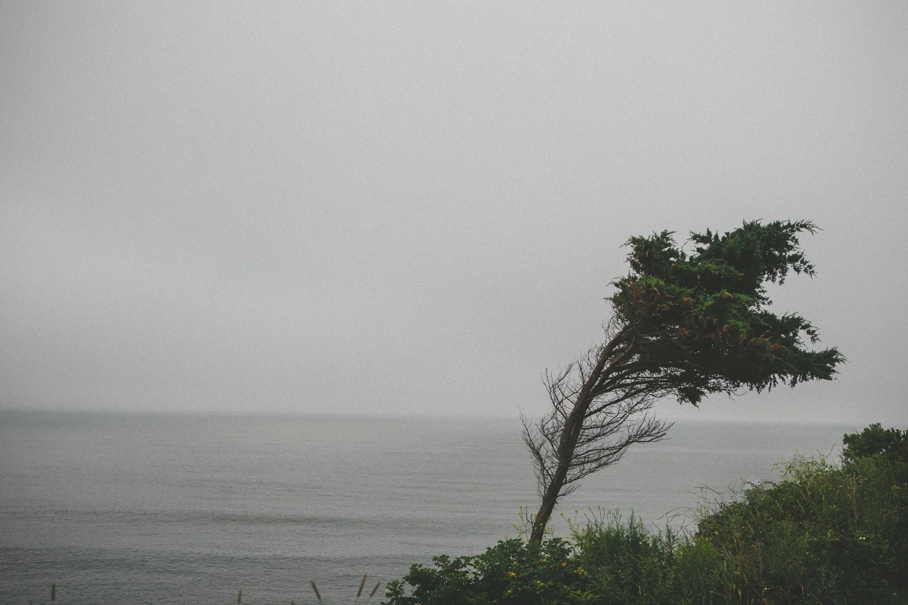 NEWPORT-56_100.jpg