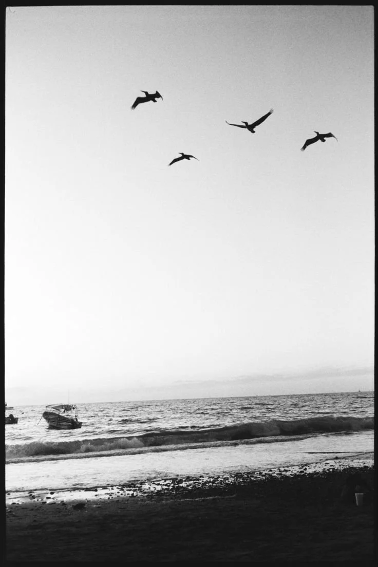 📍Puerto Vallarta, Mexico (1).jpeg